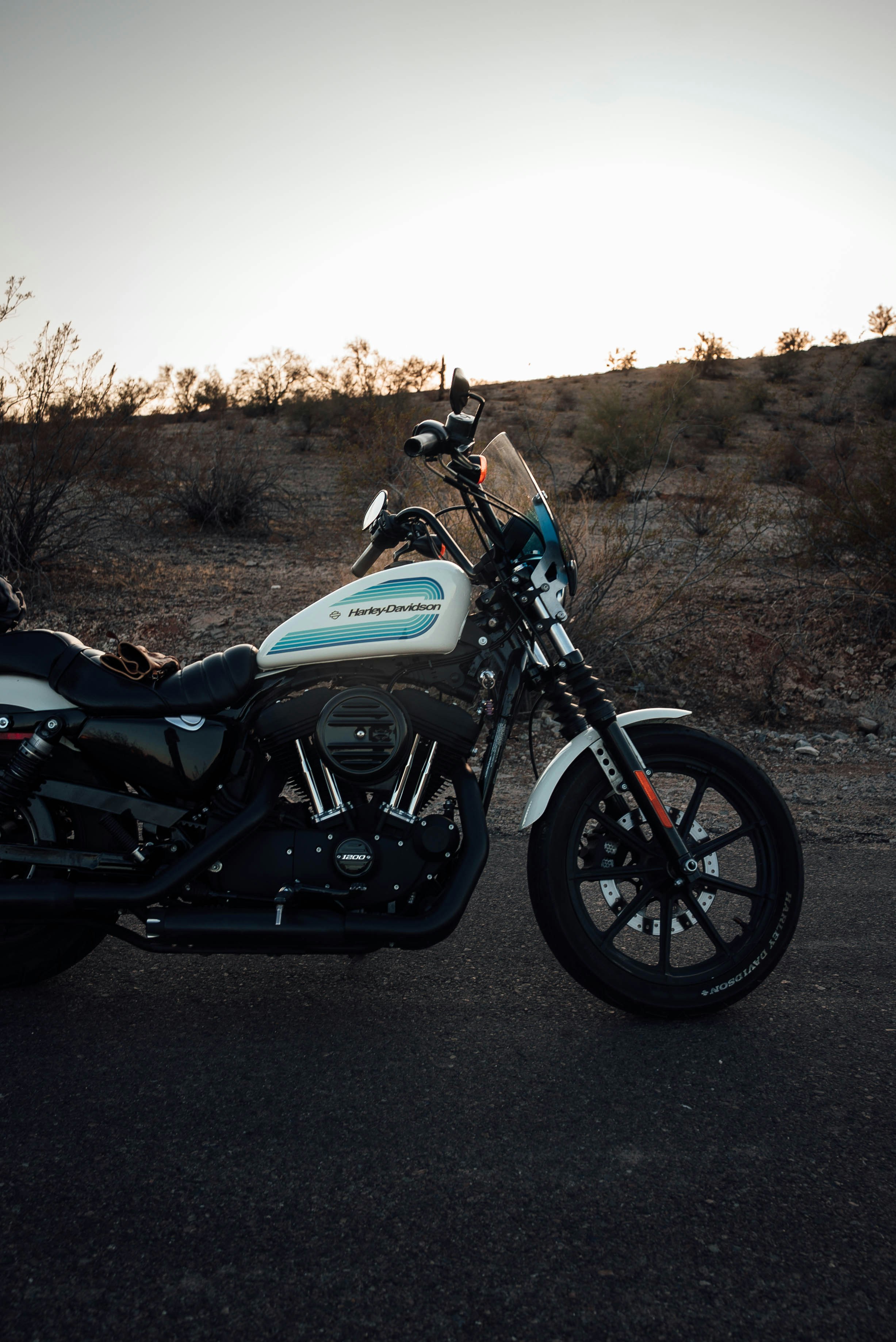 Photo by jeffersonsees