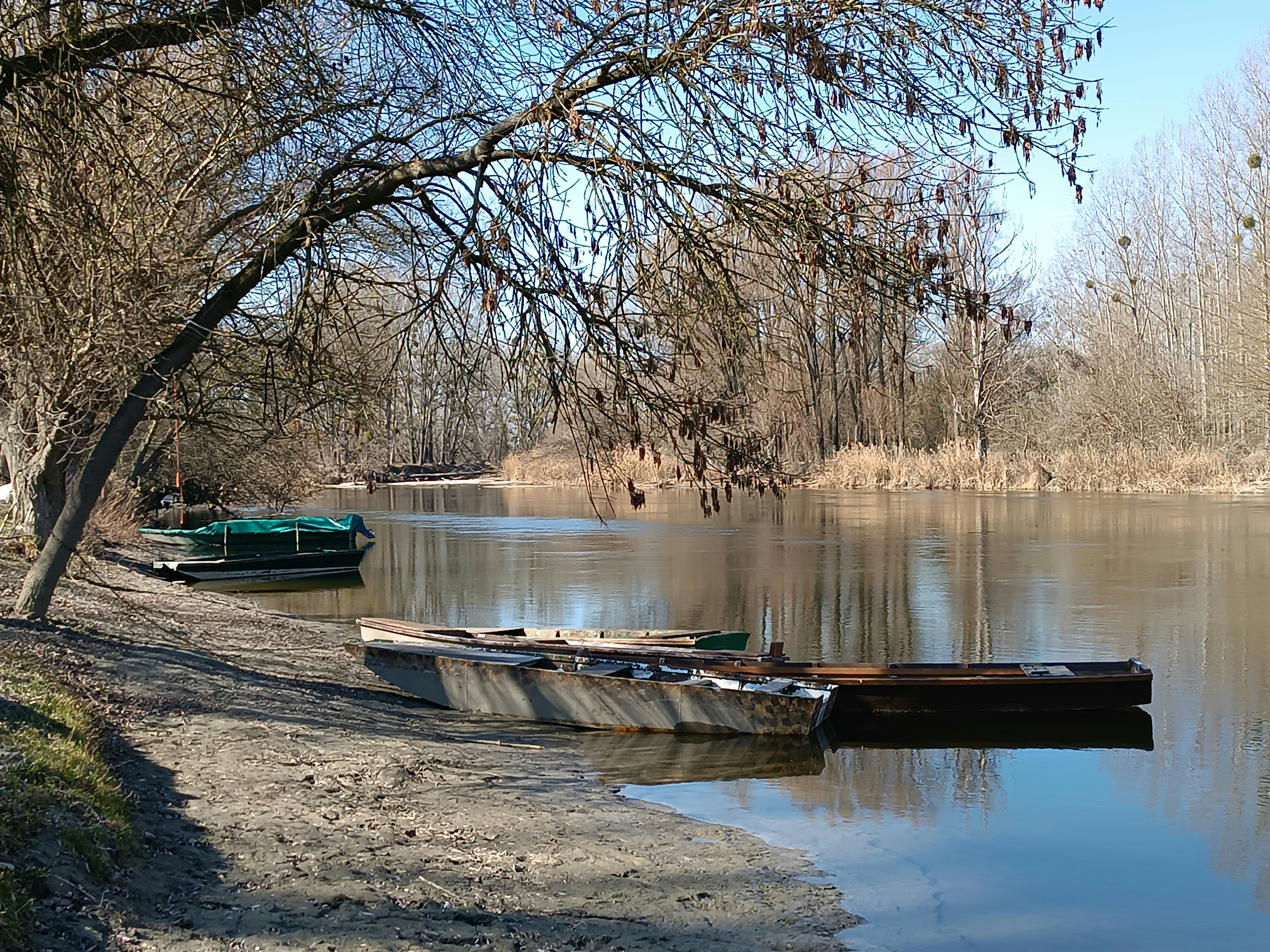 Photo by oxganggreen