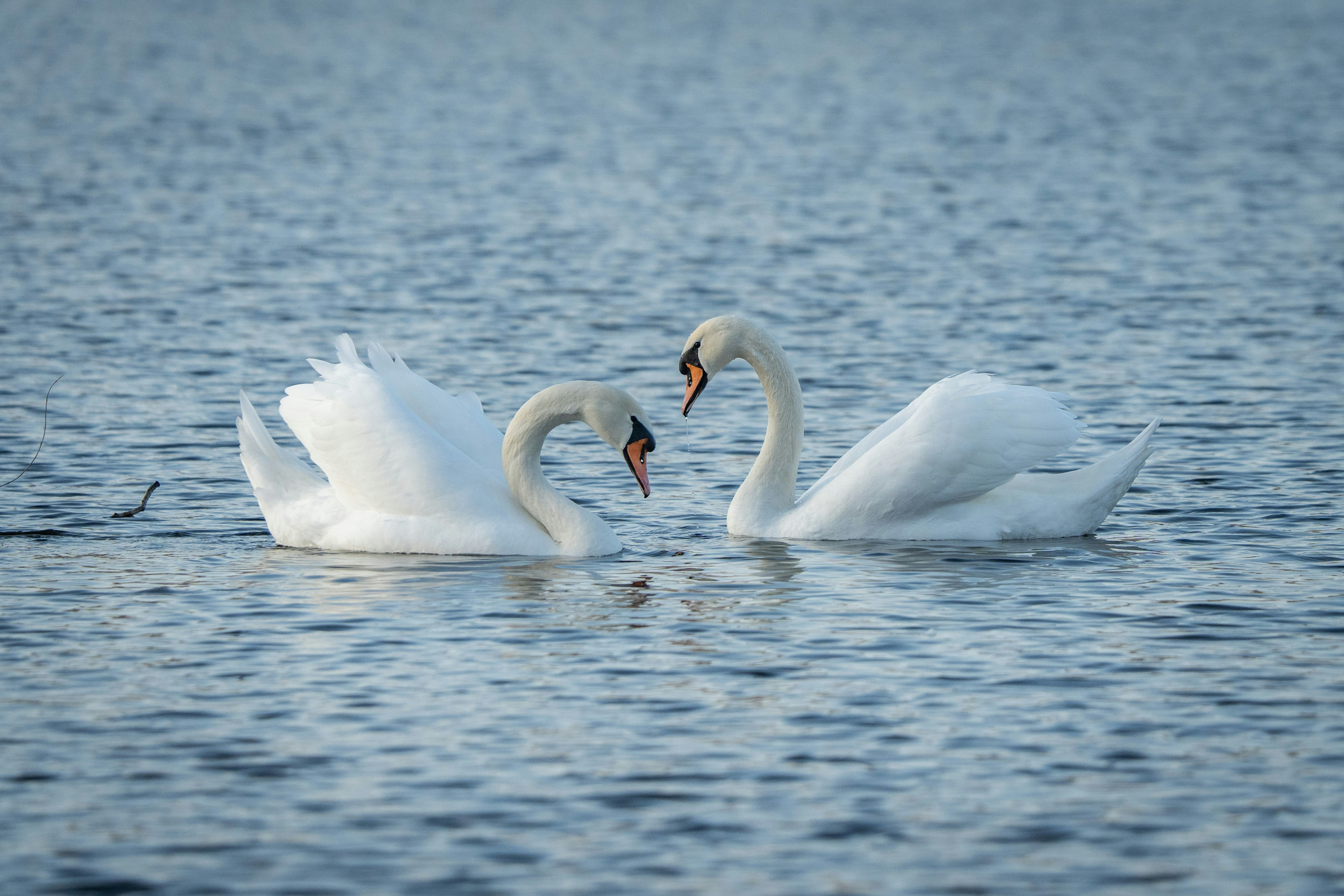 Techniki wejścia w swoją przestrzeń