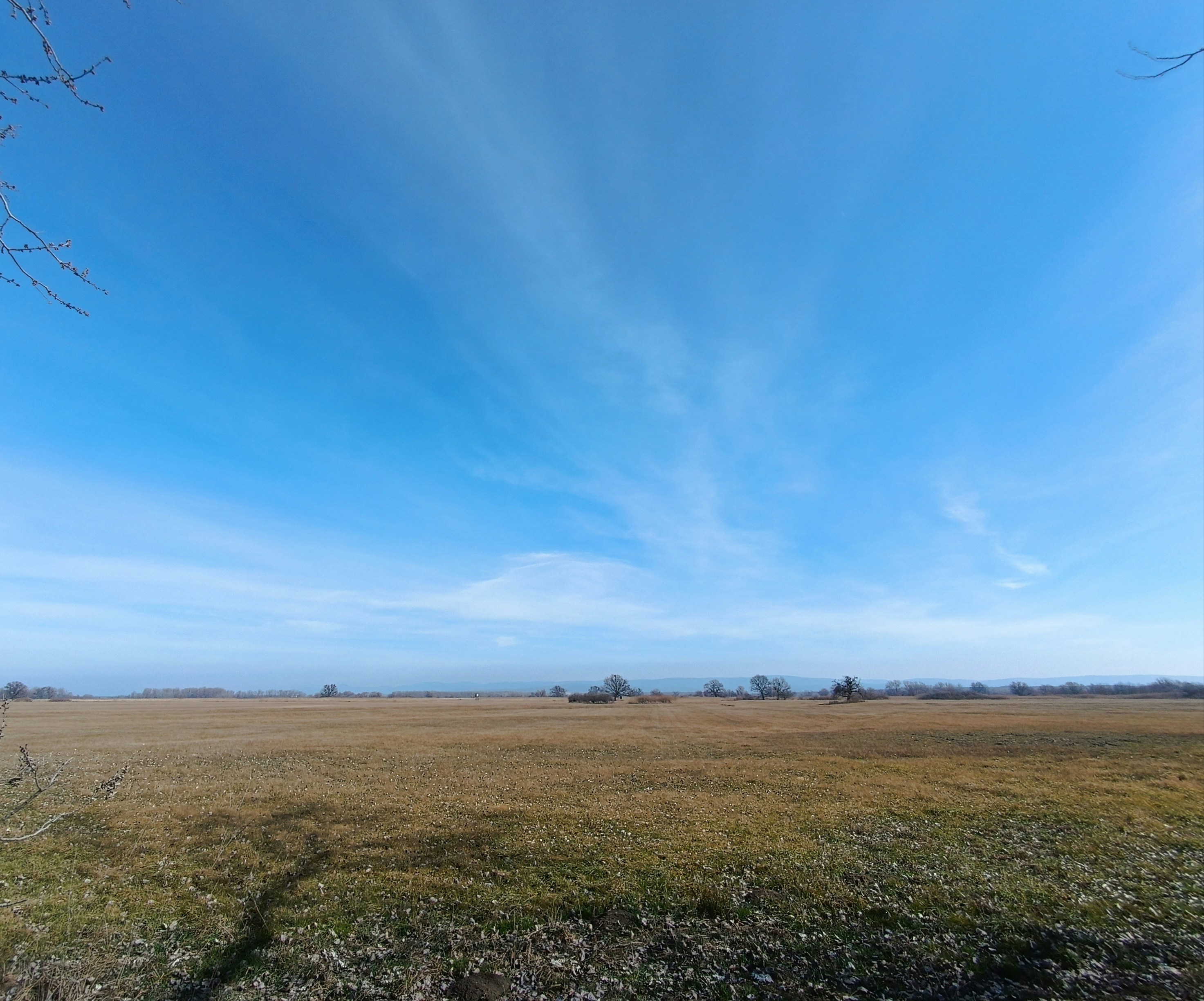 Photo by oxganggreen