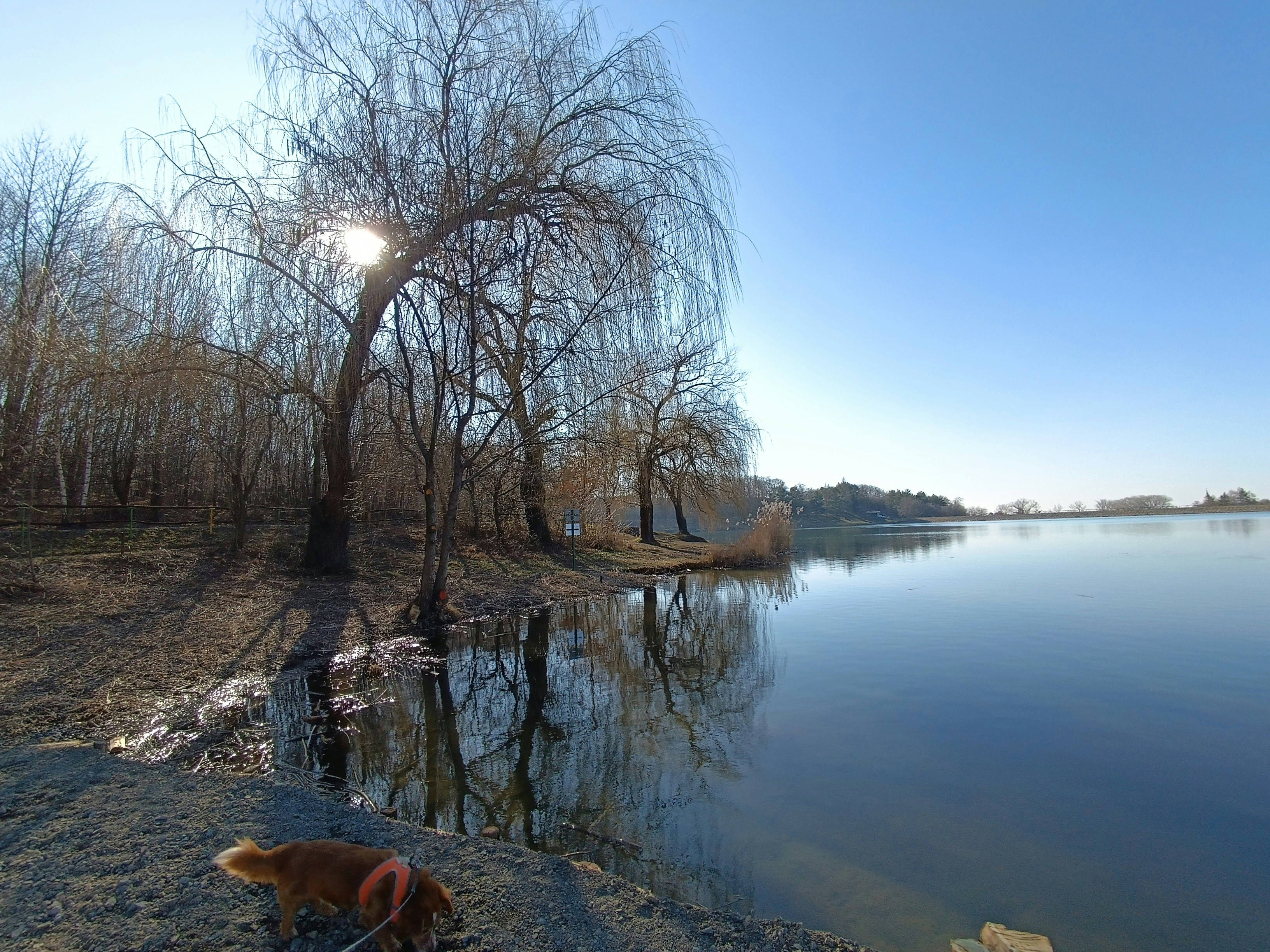 Photo by oxganggreen