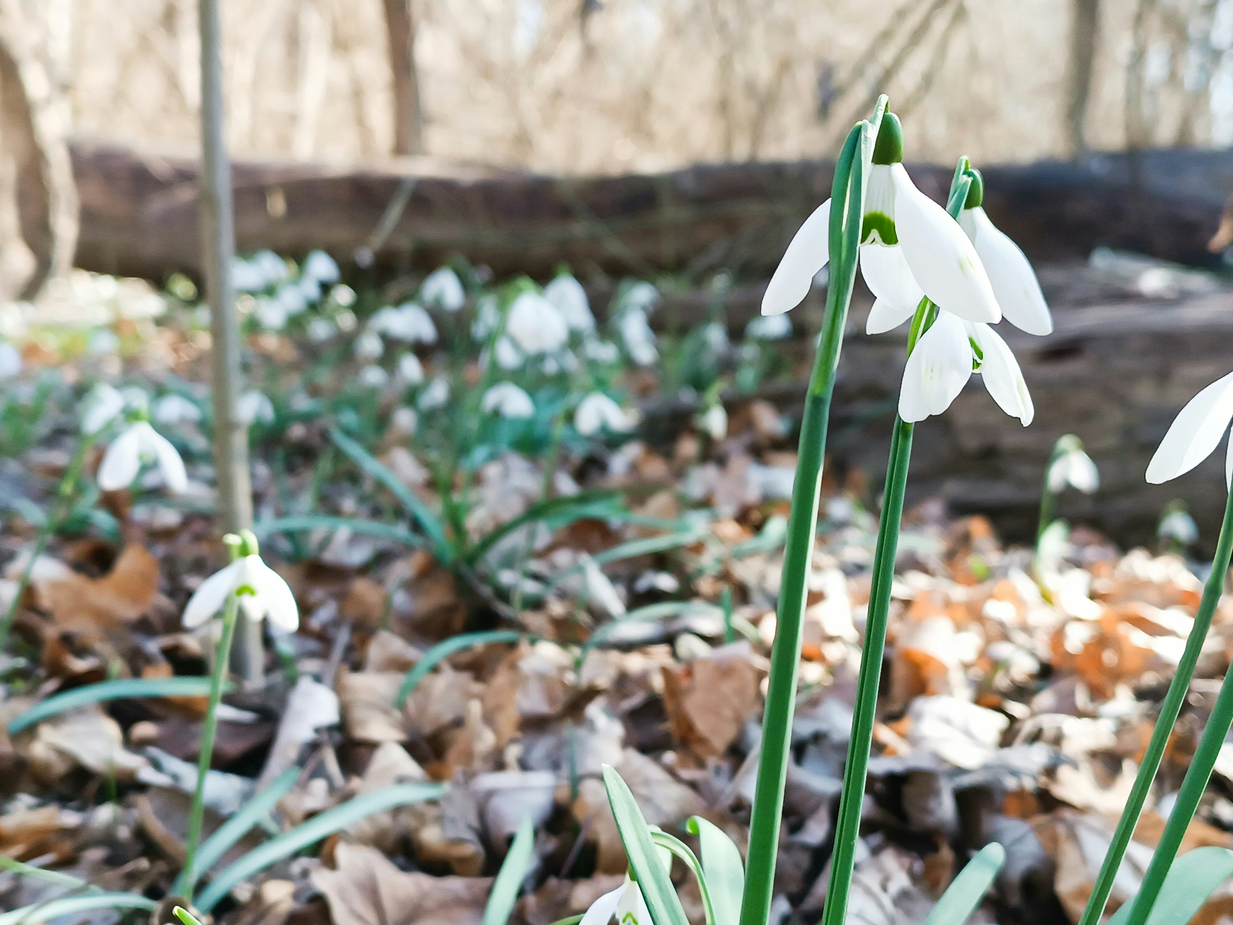 Photo by oxganggreen