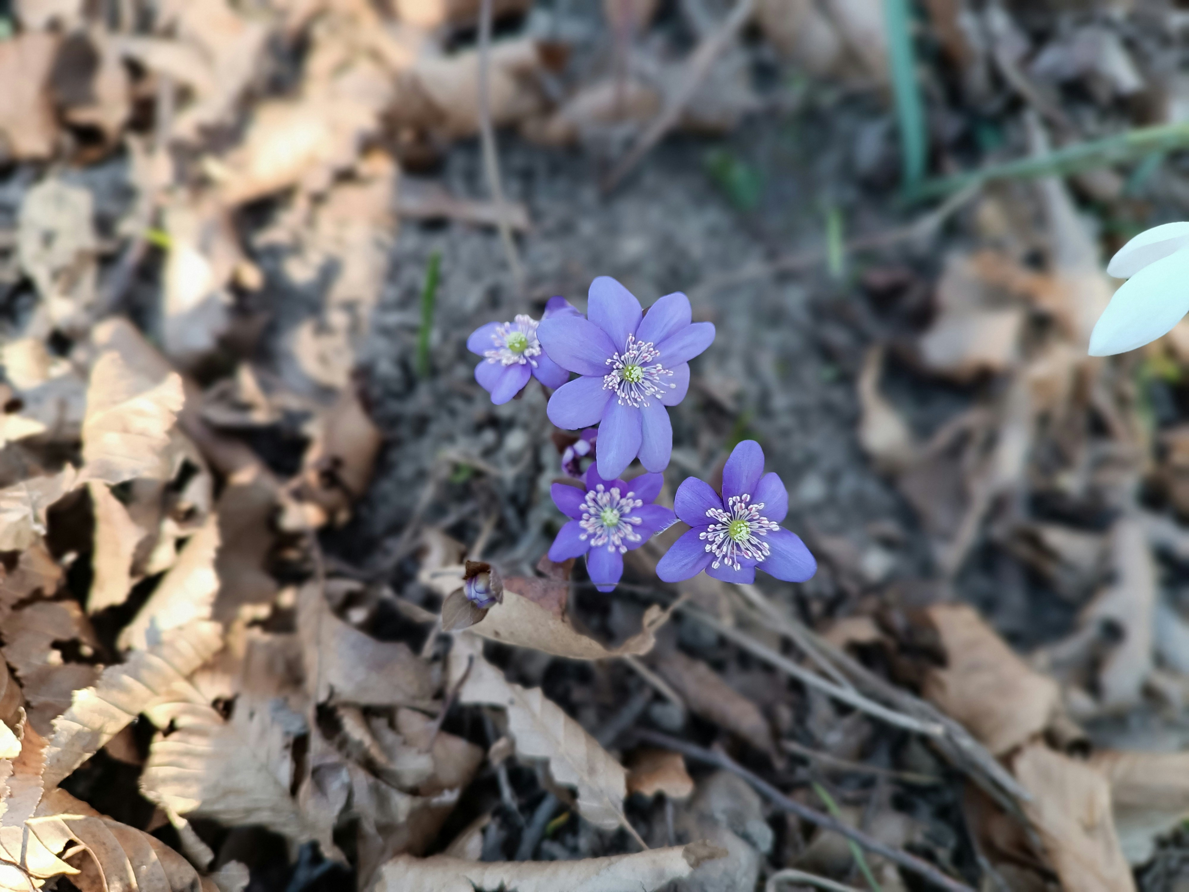 Photo by oxganggreen