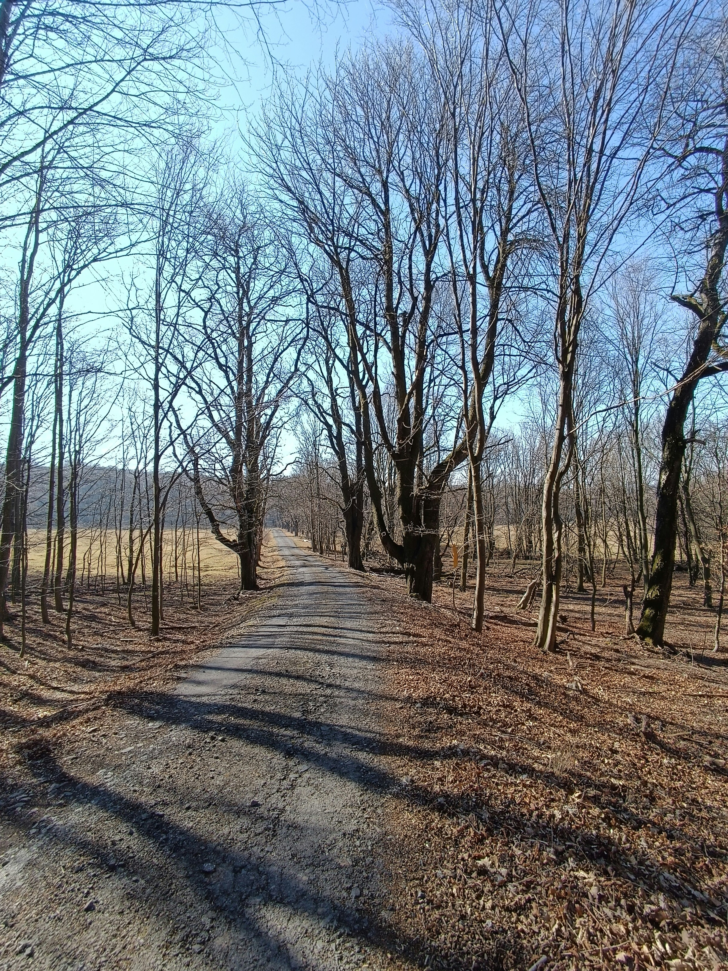 Photo by oxganggreen