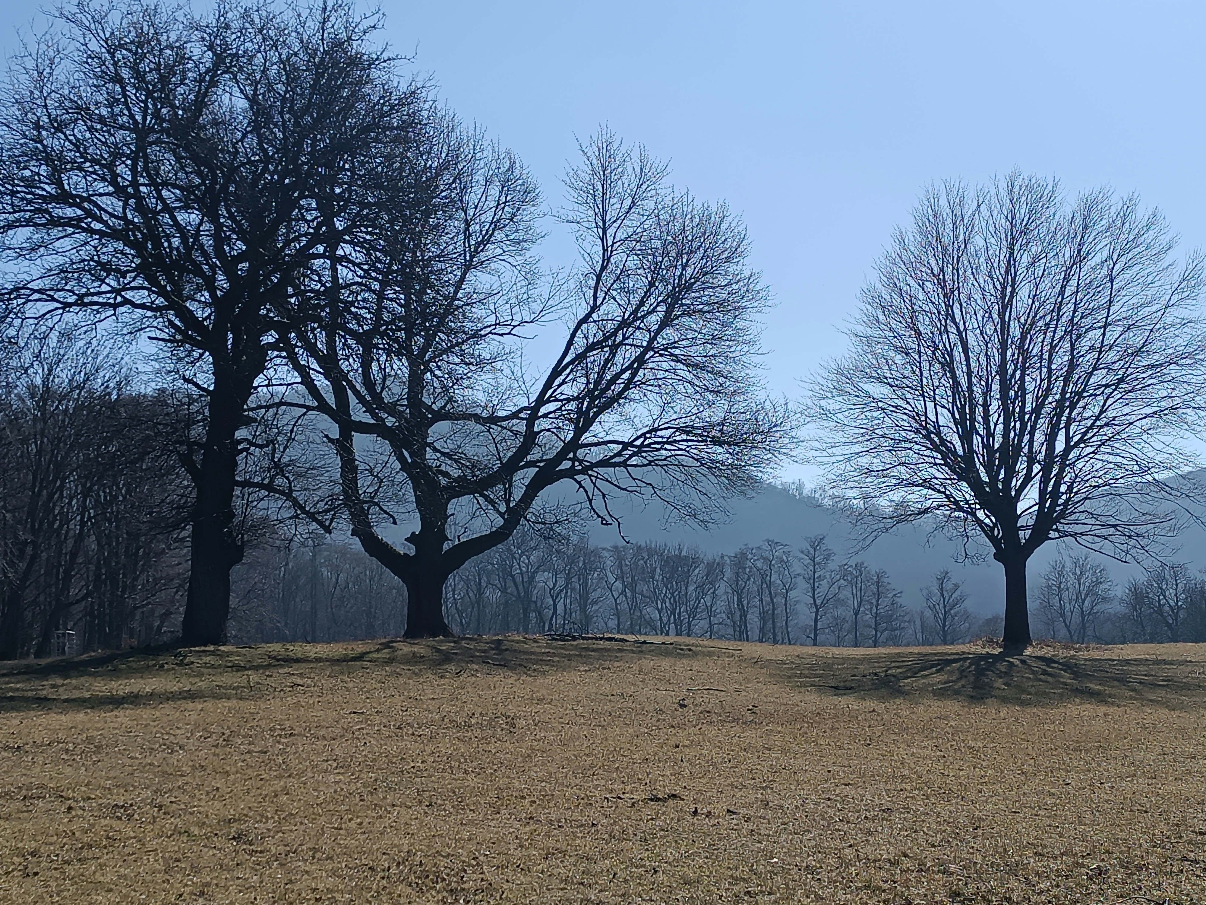 Photo by oxganggreen