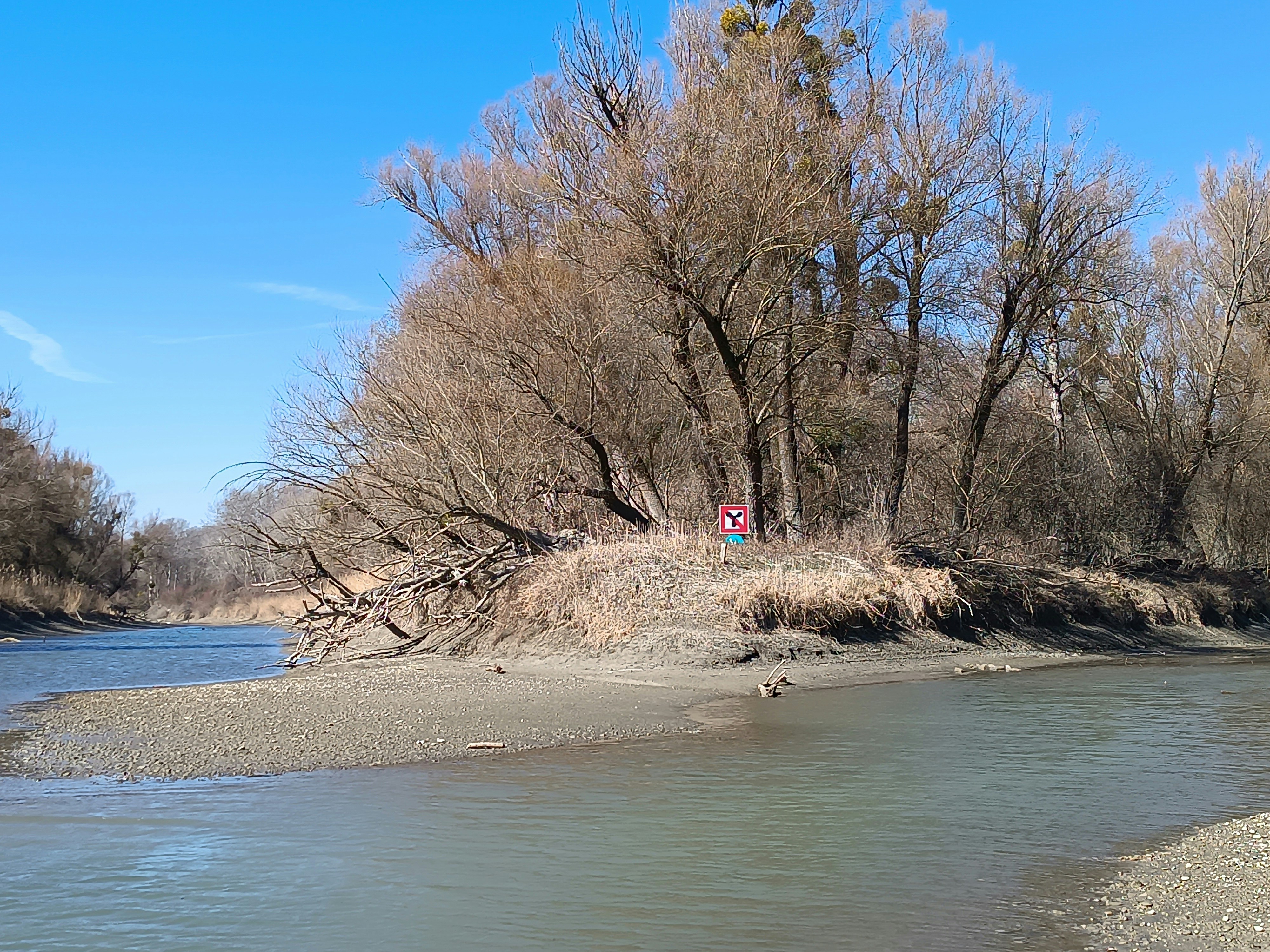 Photo by oxganggreen