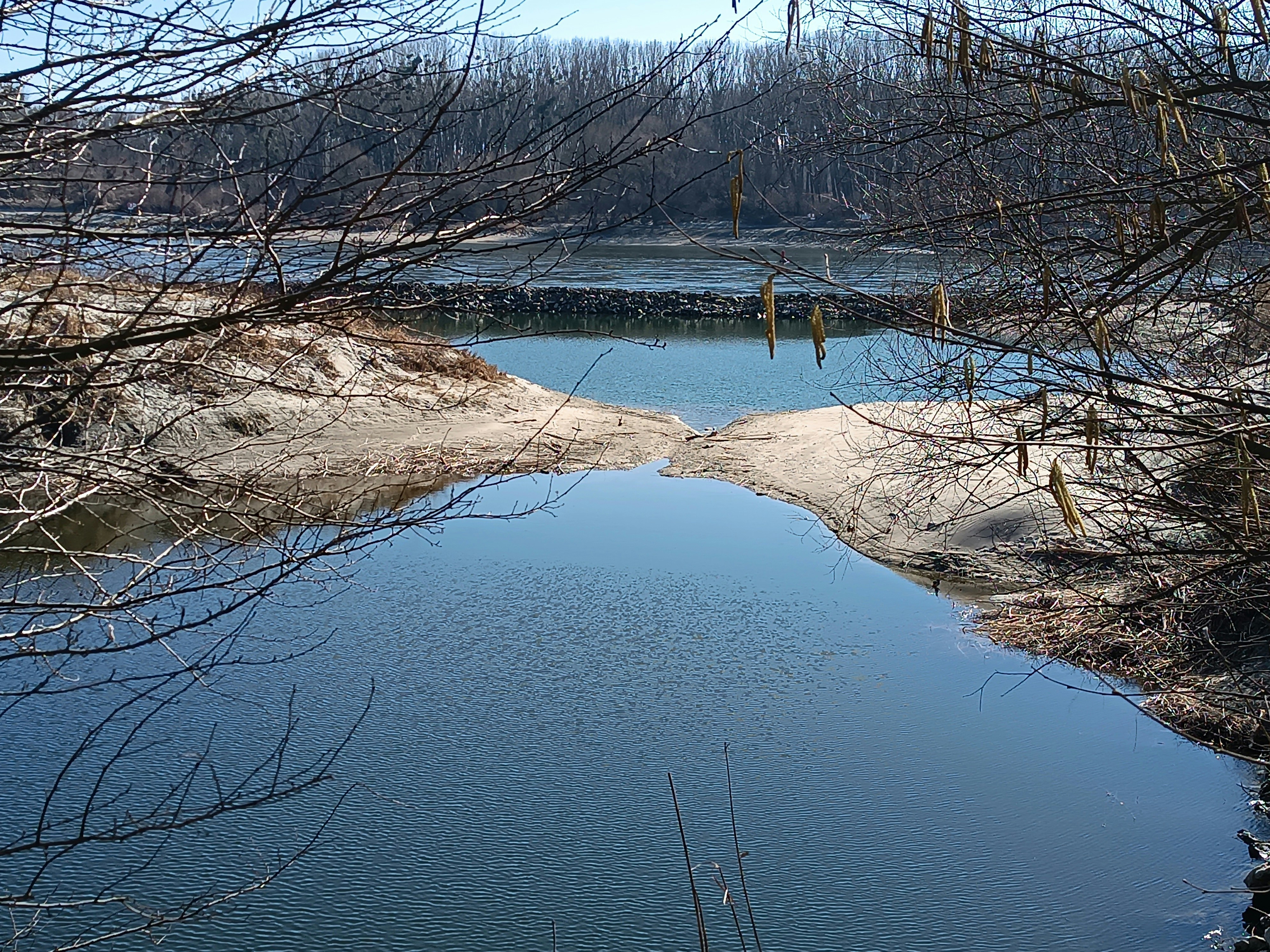 Photo by oxganggreen