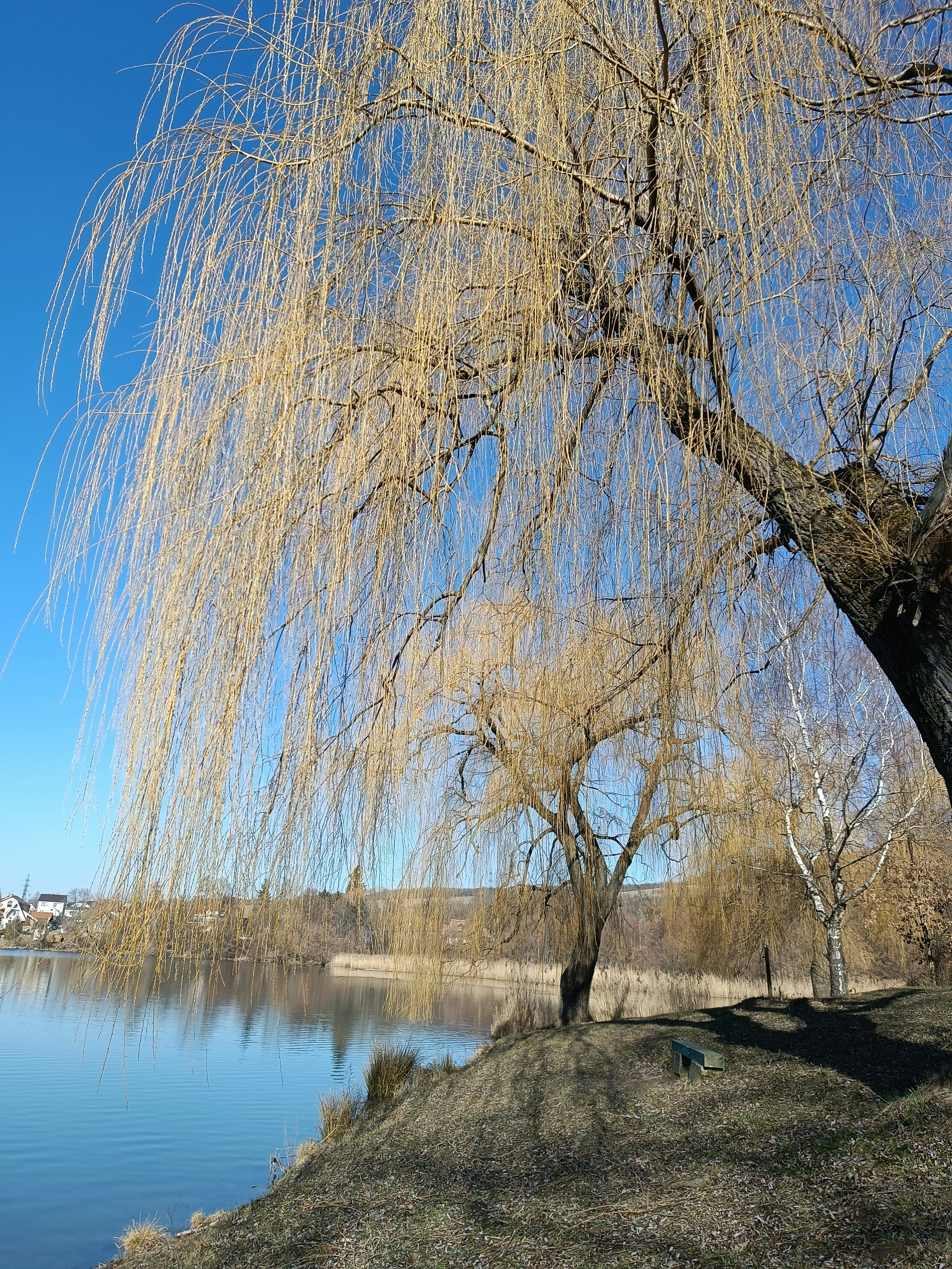 Photo by oxganggreen