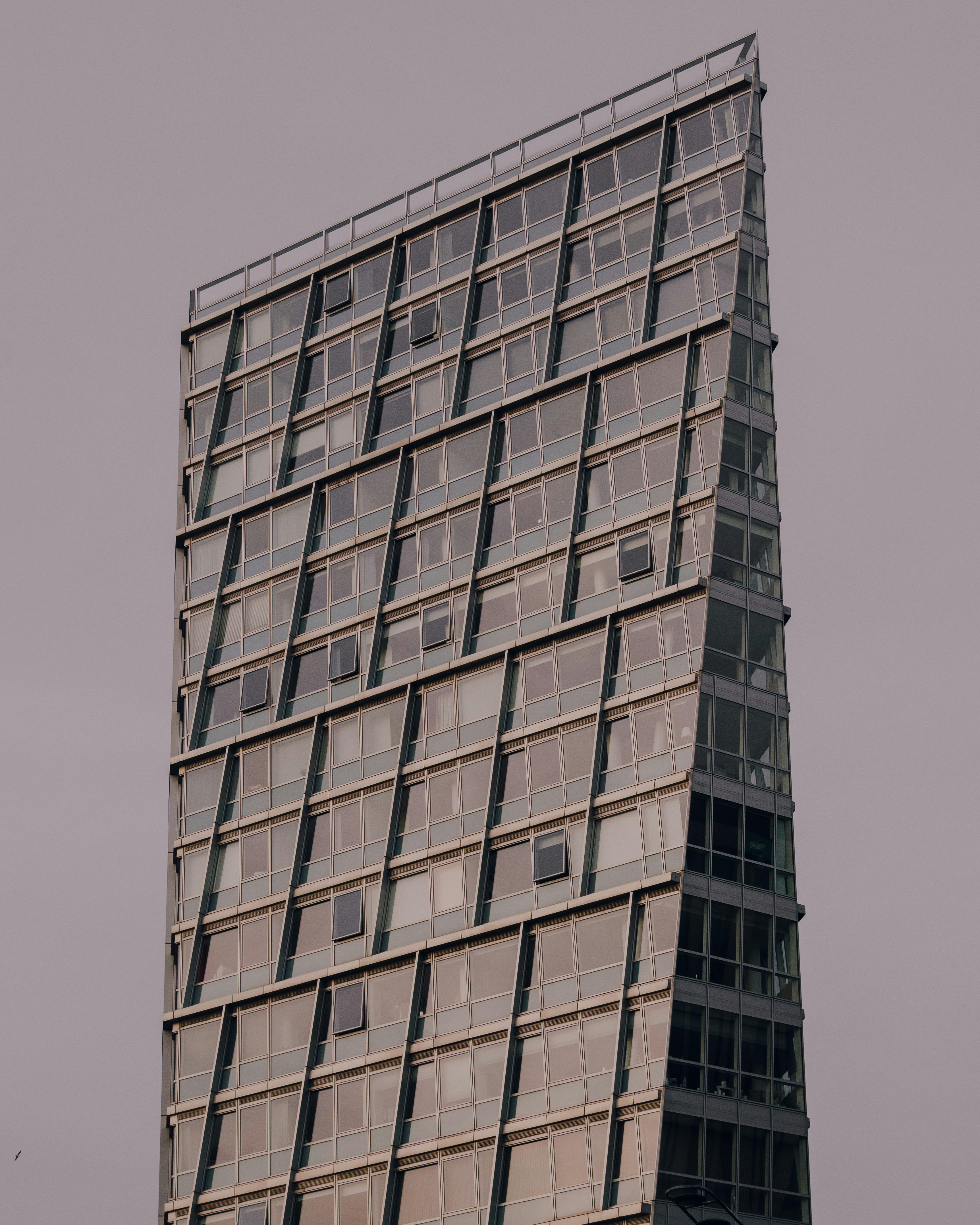 Photo by raymondokoro