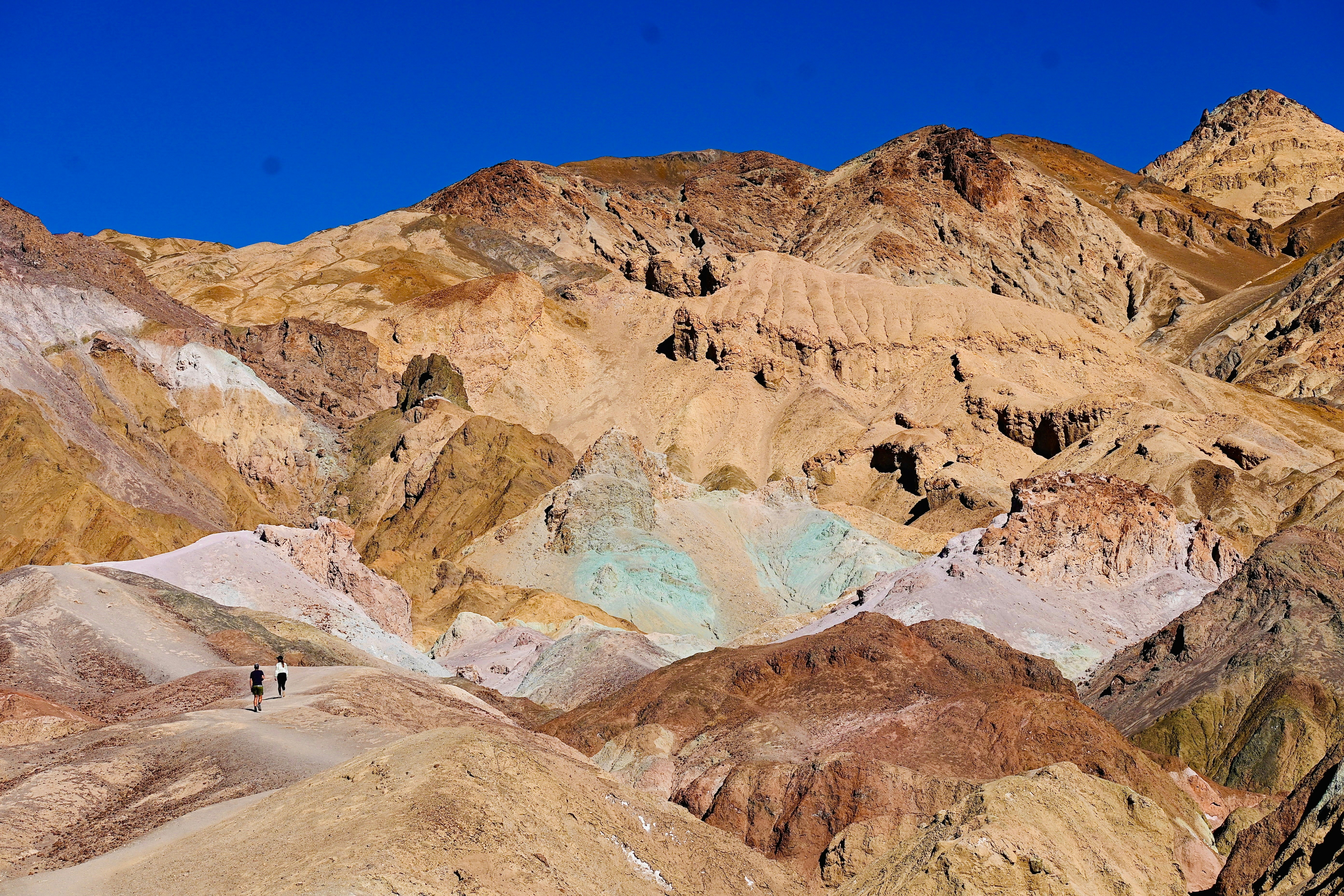 Photo by vijetha_surakanti