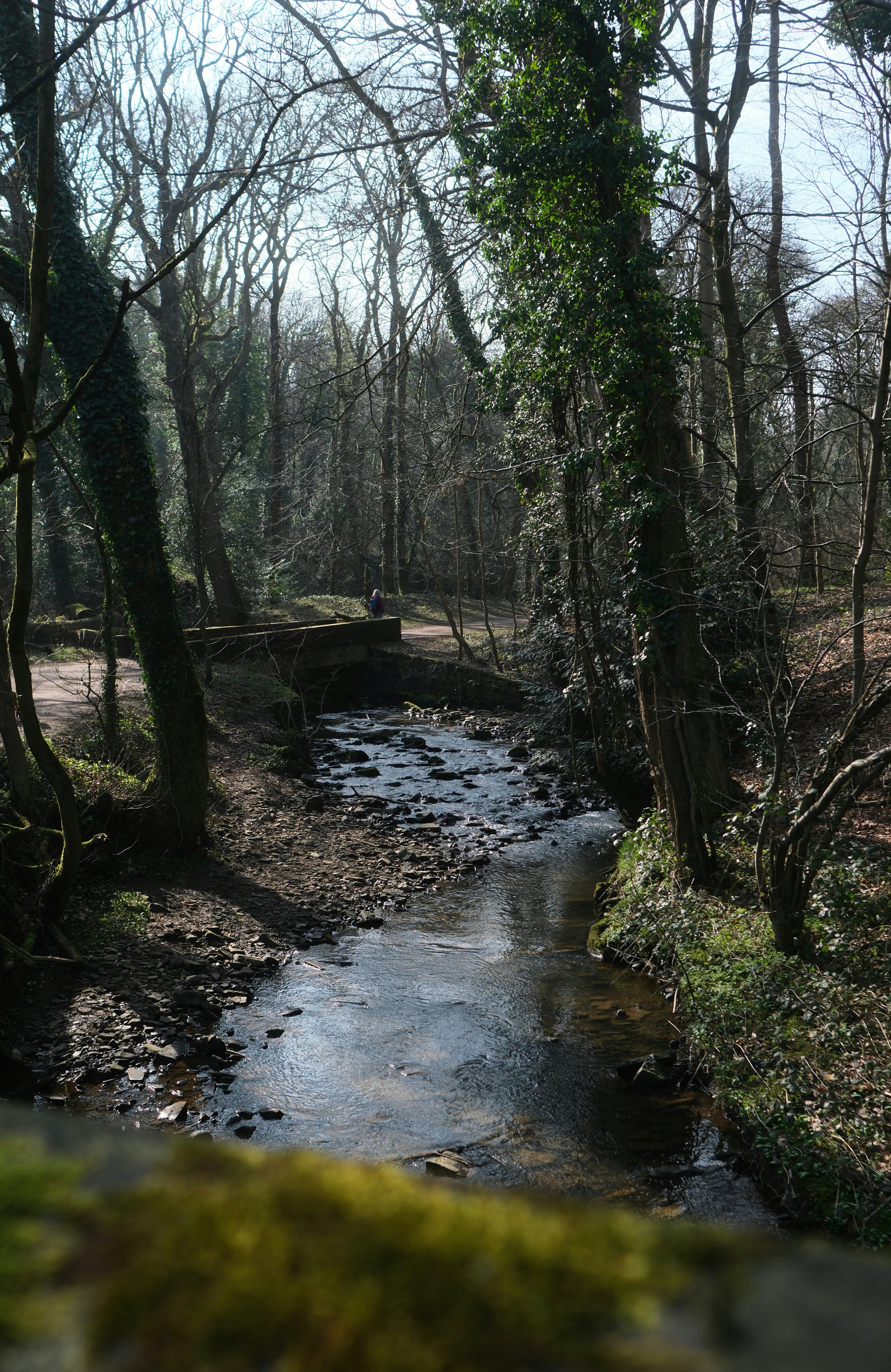 Photo by alekseixagafonov