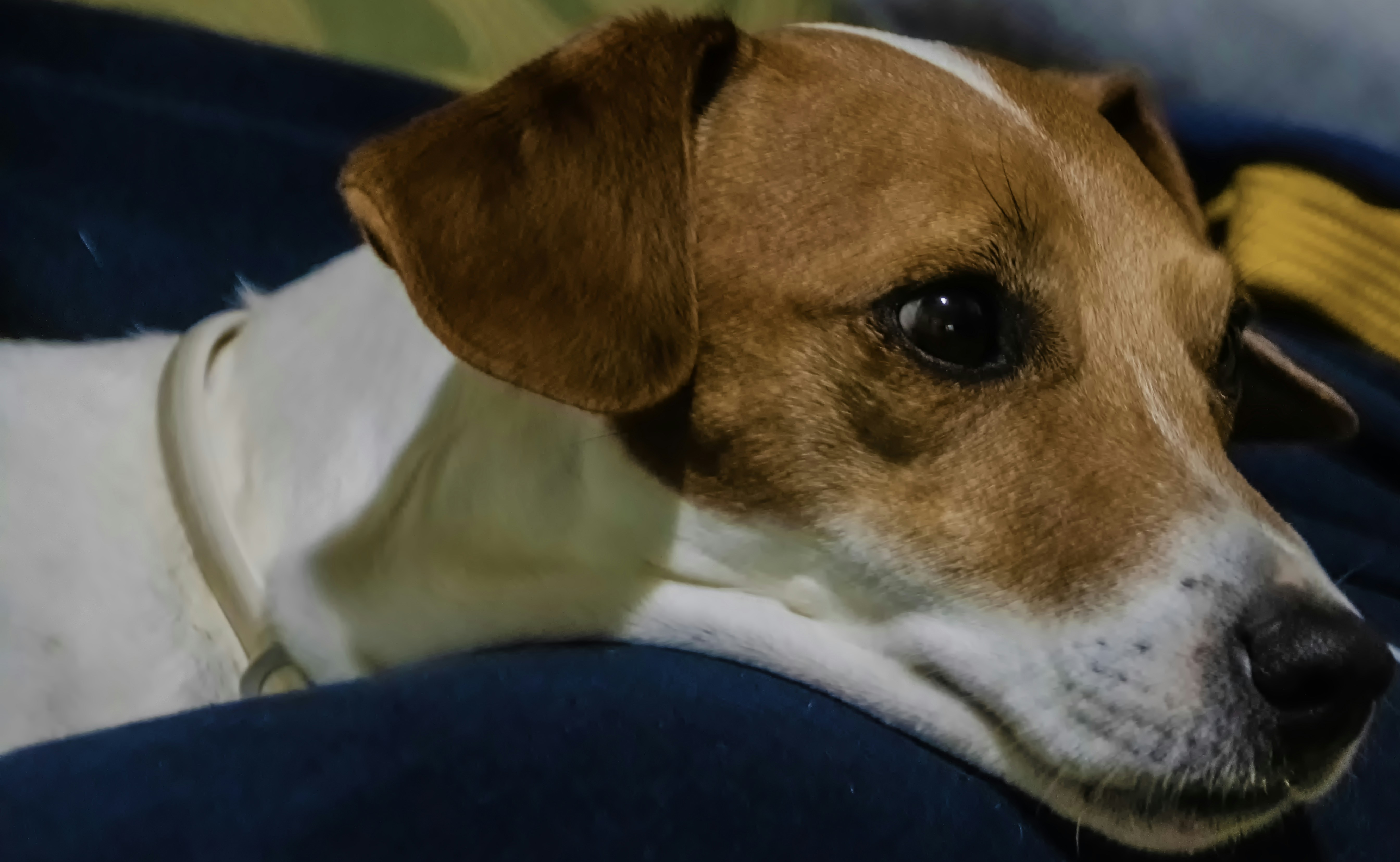 Photo by mircovitti87