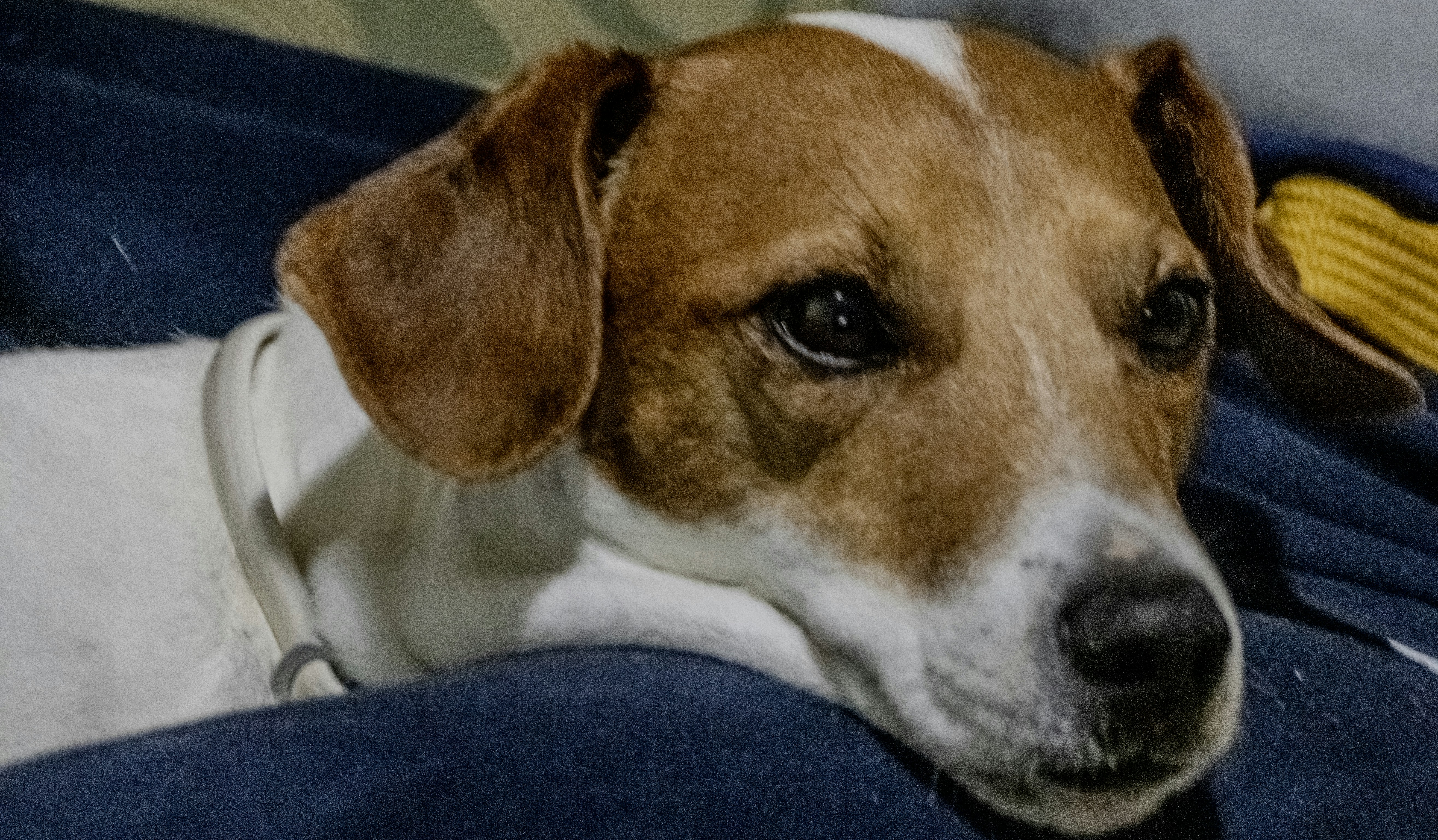 Photo by mircovitti87