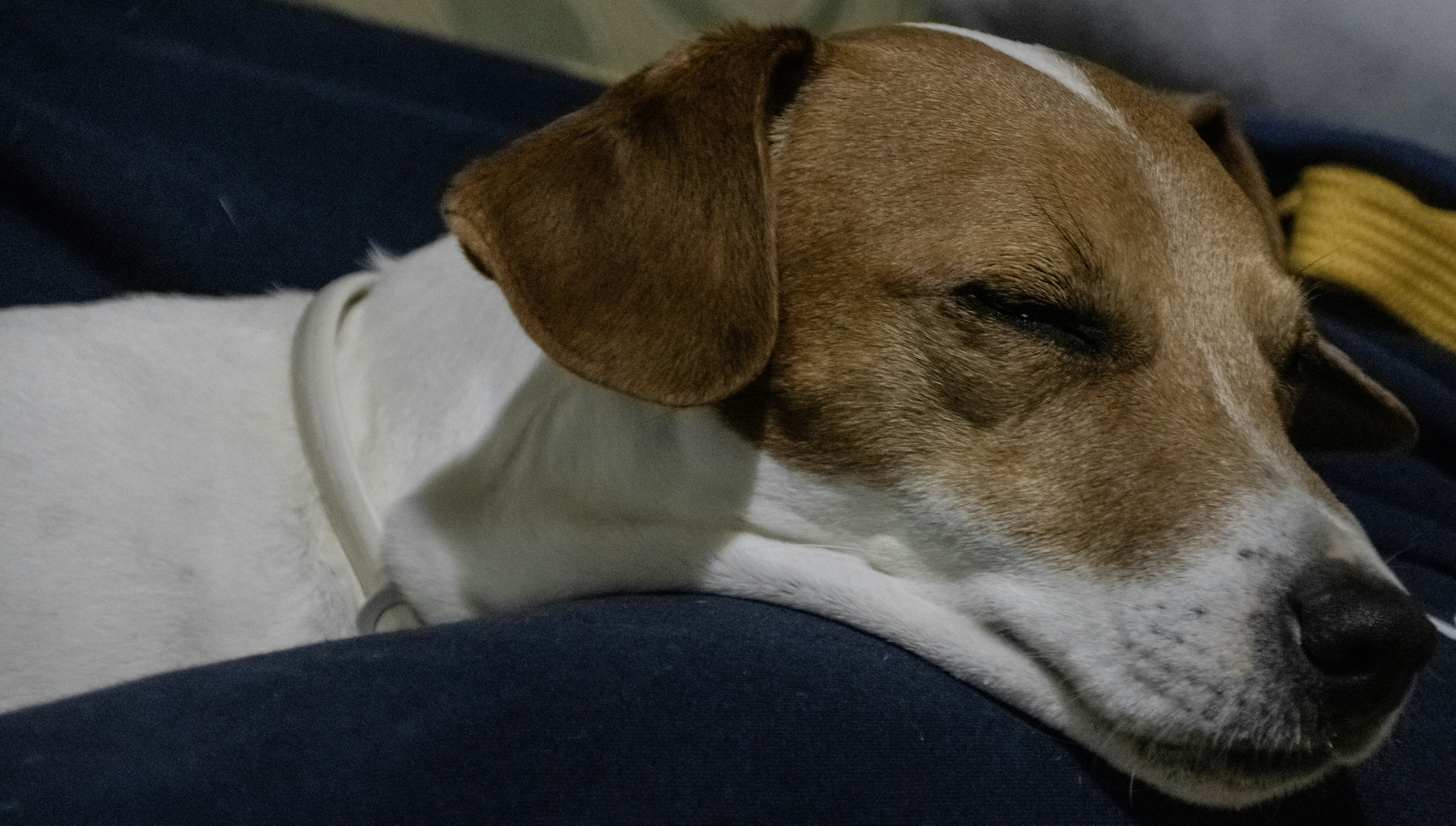 Photo by mircovitti87