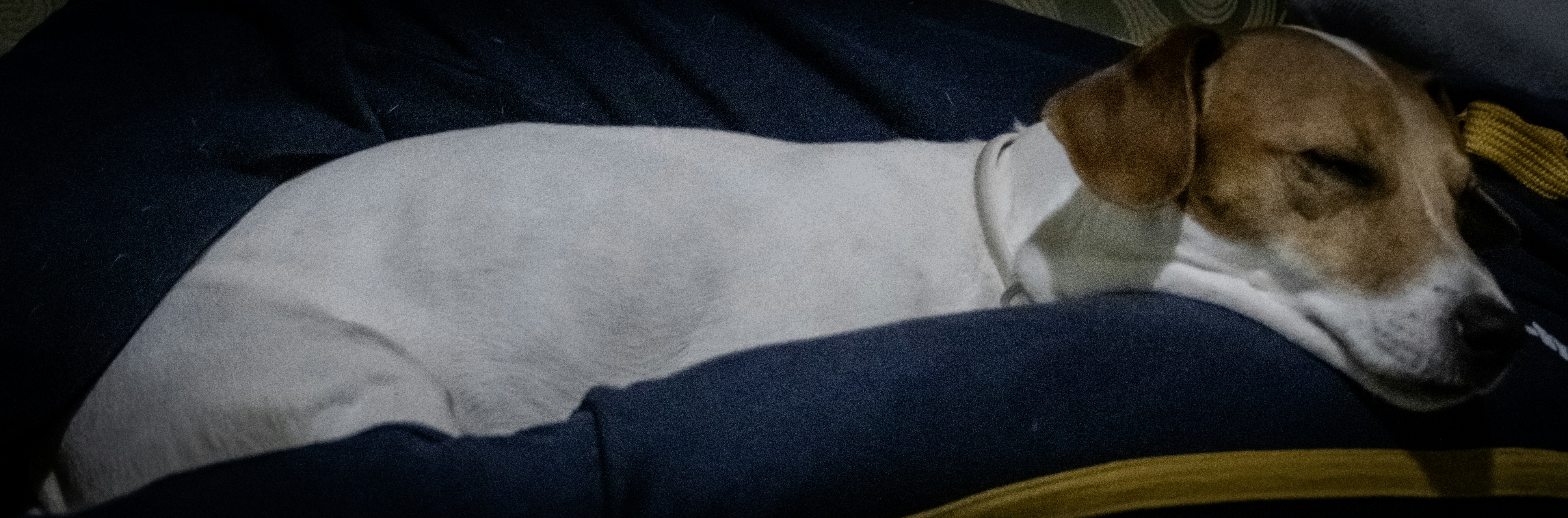 Photo by mircovitti87