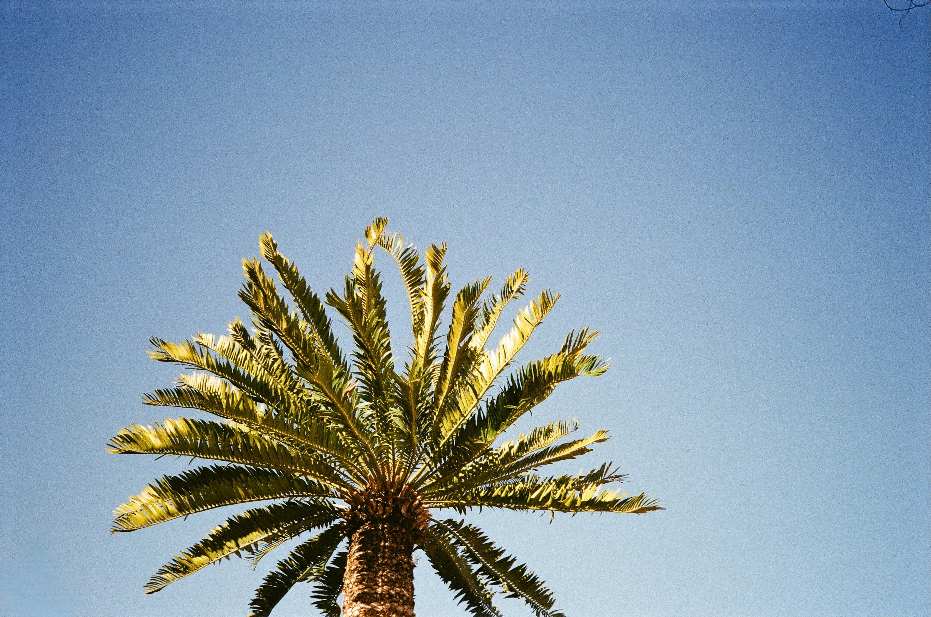 Photo by zvada_photo