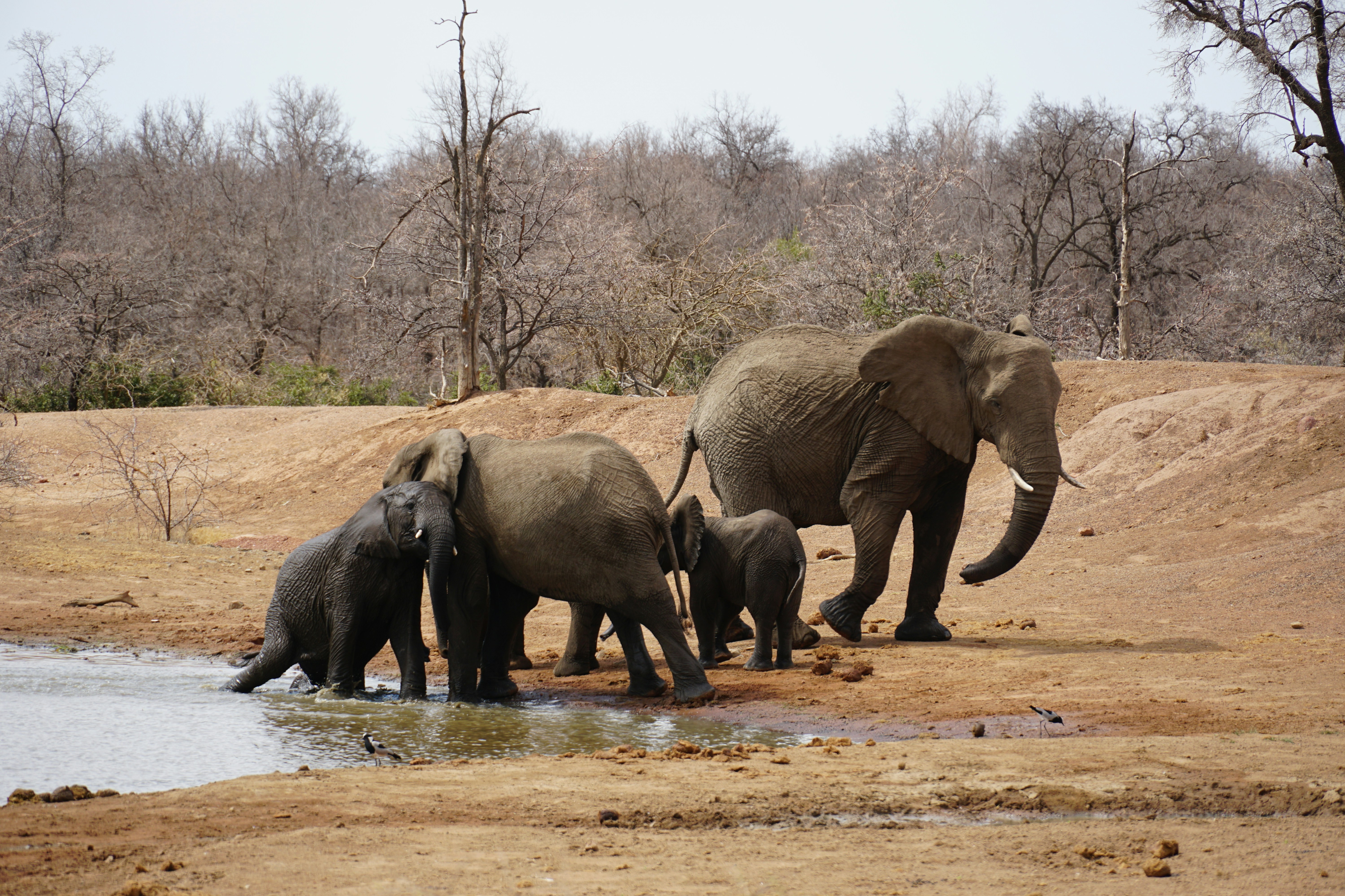 Photo by qld_traveller