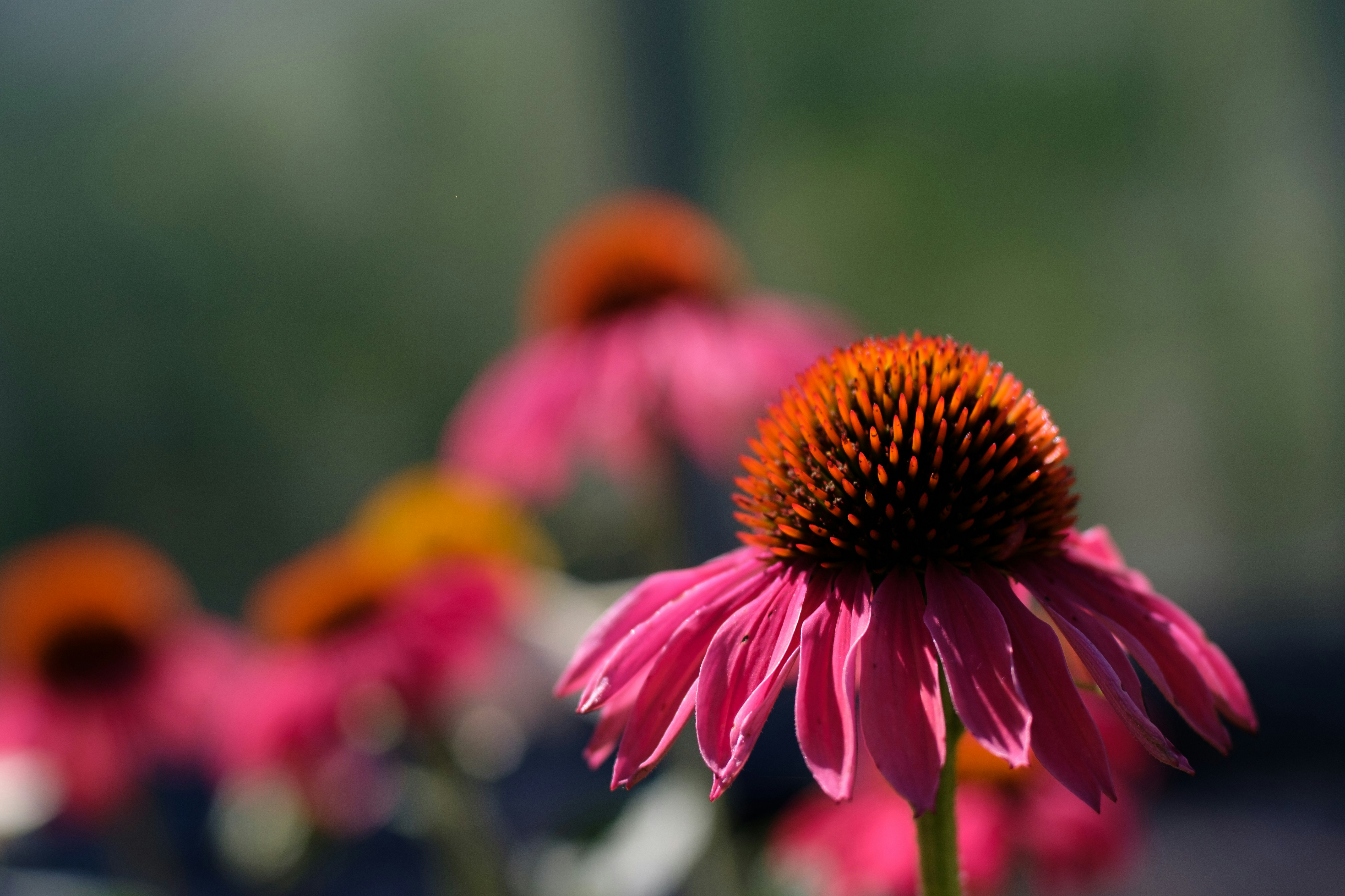 Photo by joelworkman