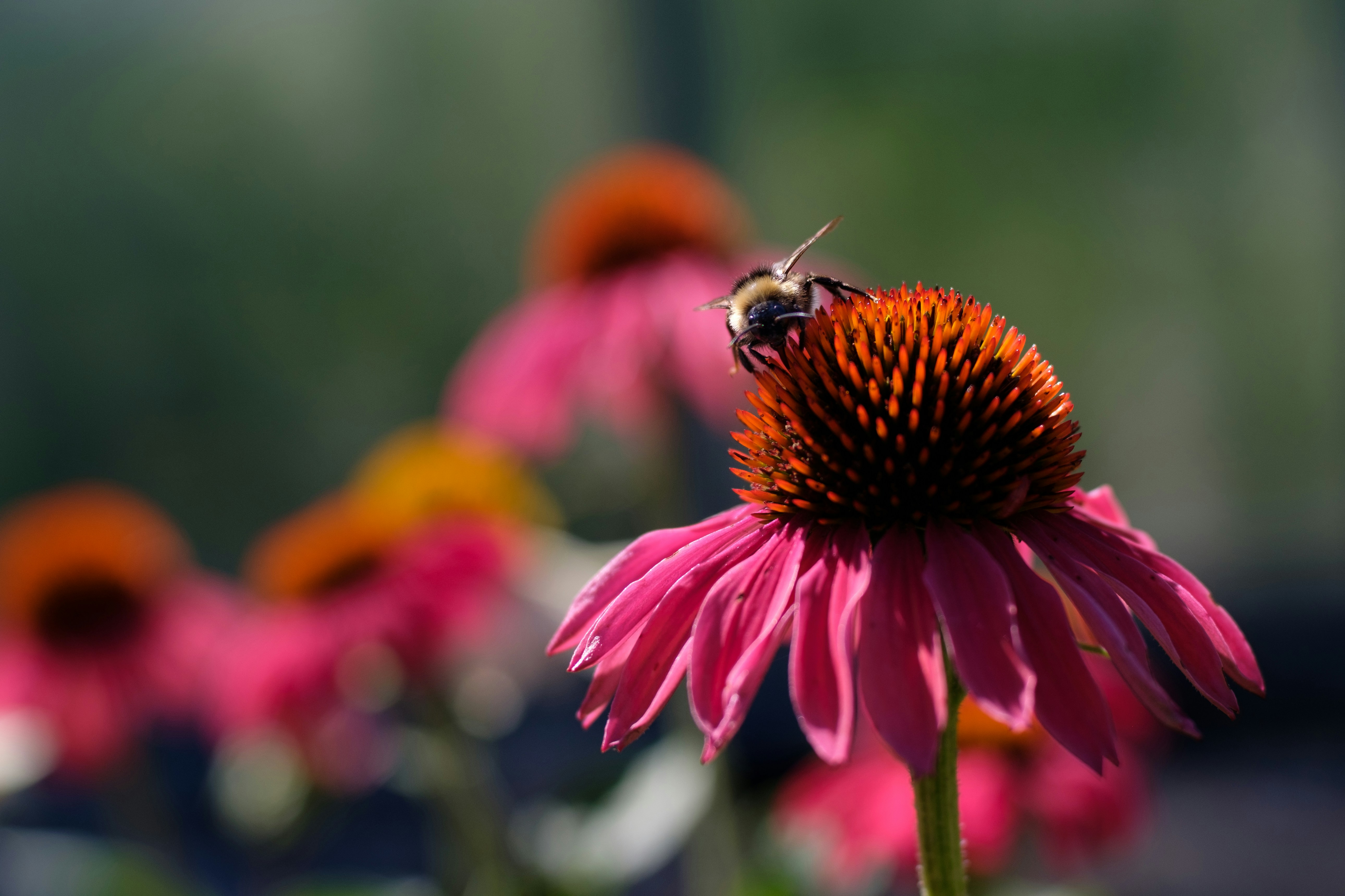 Photo by joelworkman