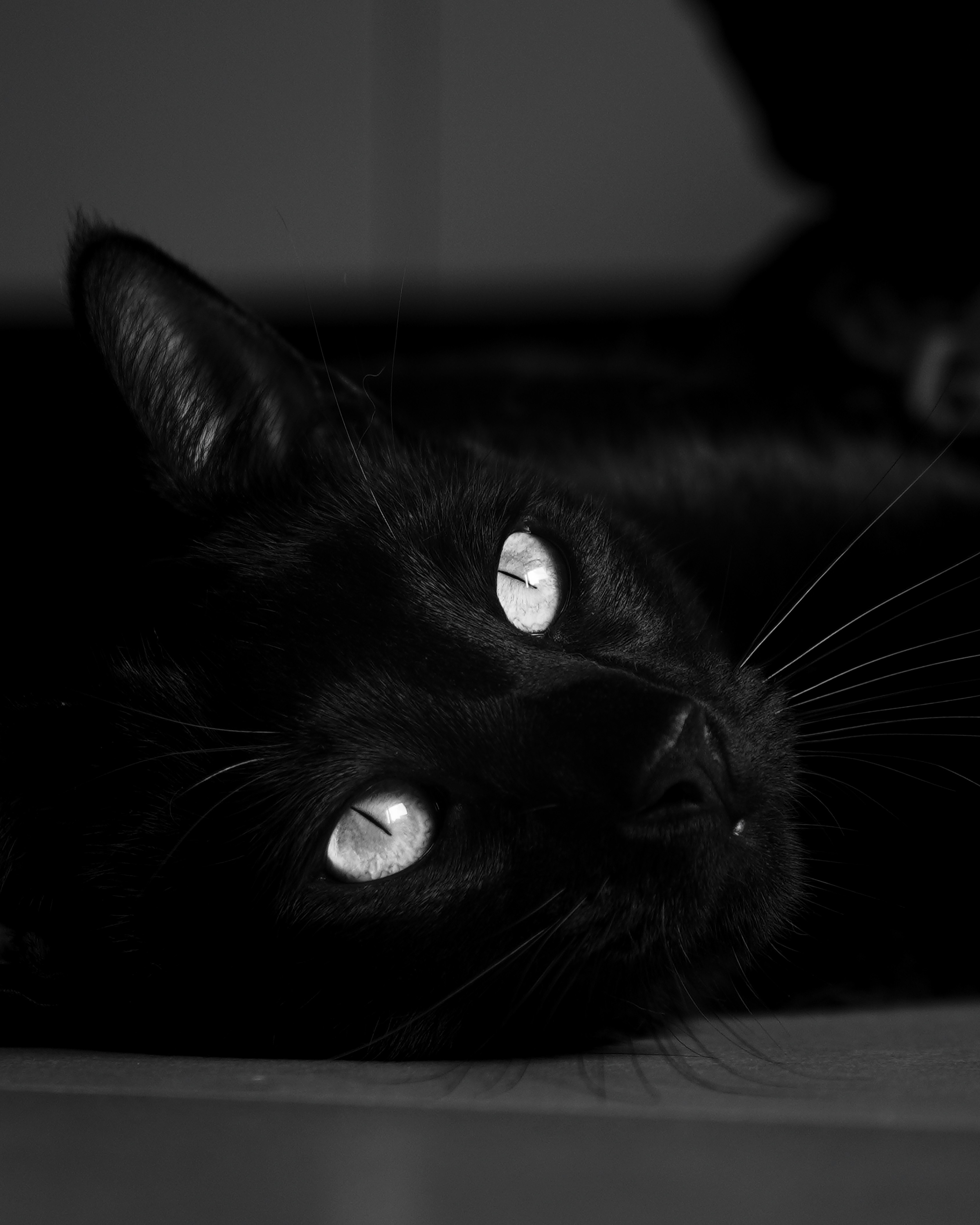 Photo by aerialshooter