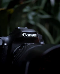 A canon camera with a blurred background.