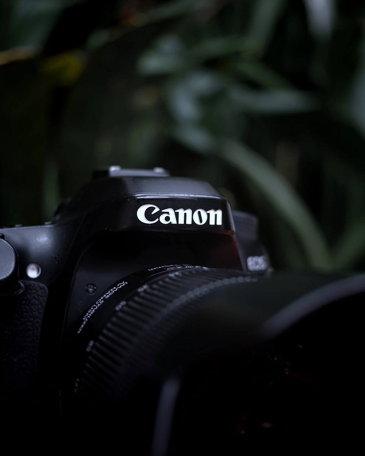 Canon mirrorless camera with lens mounted outdoors against a green foliage background, showing the Canon branding