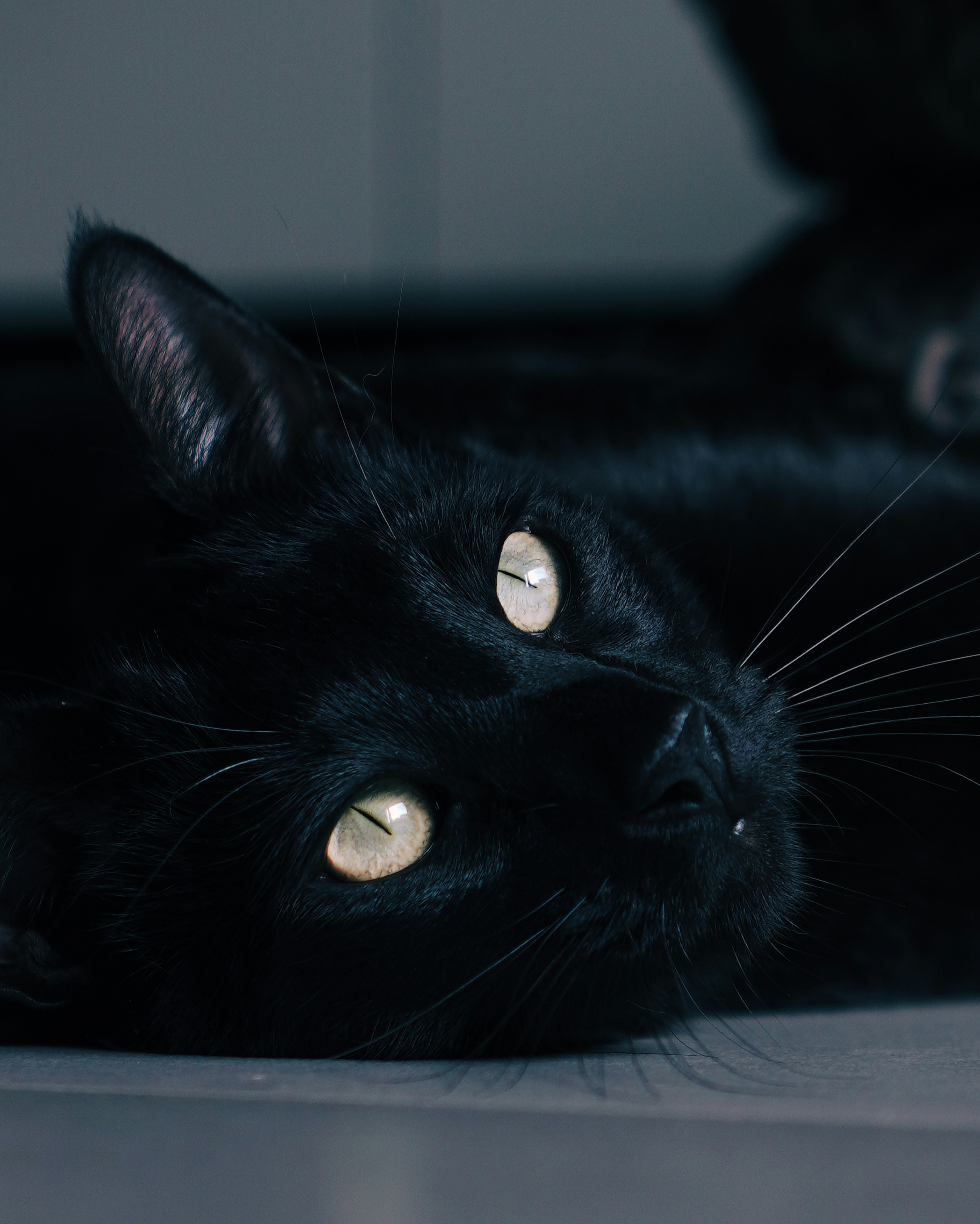 Photo by aerialshooter