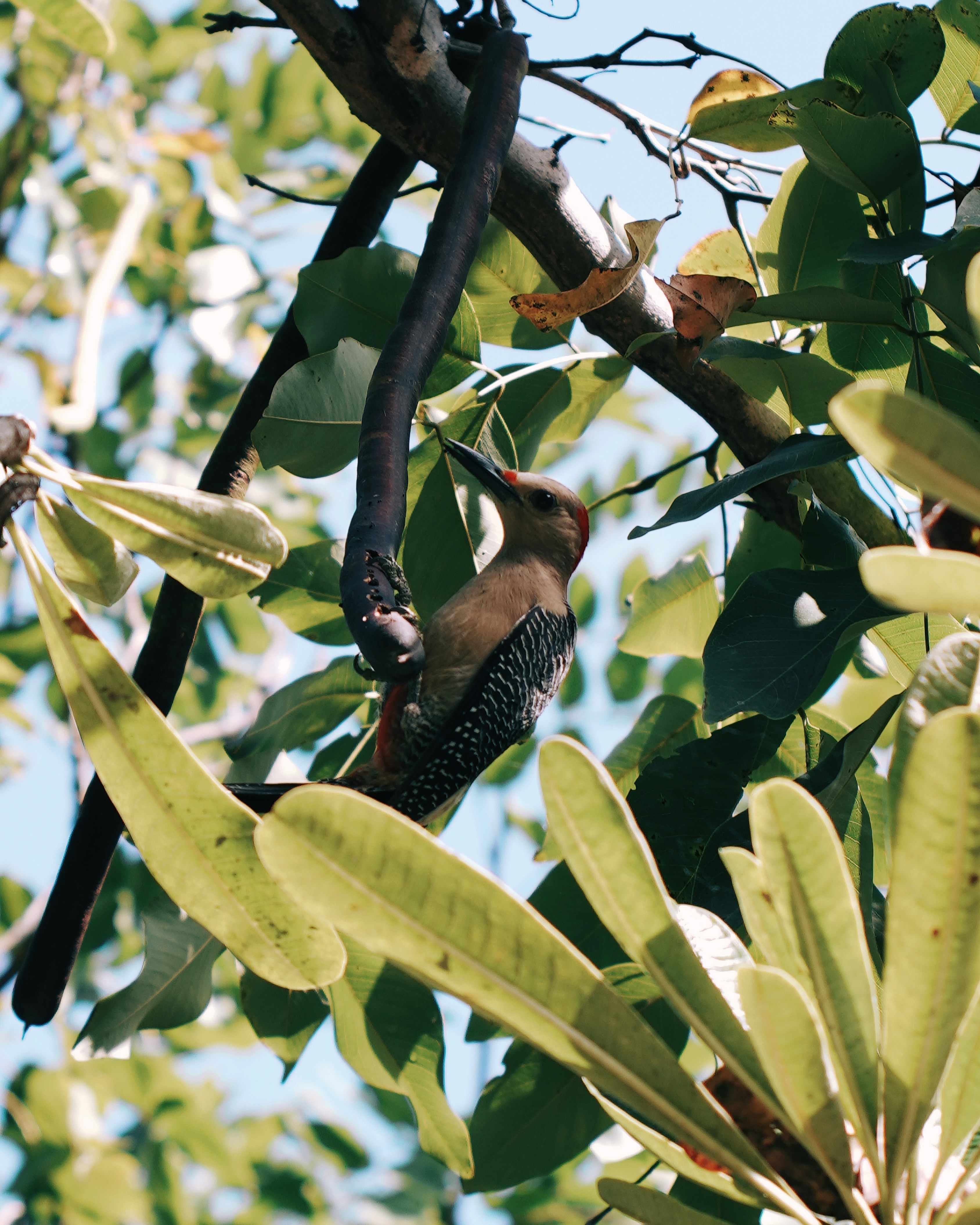 Photo by aerialshooter