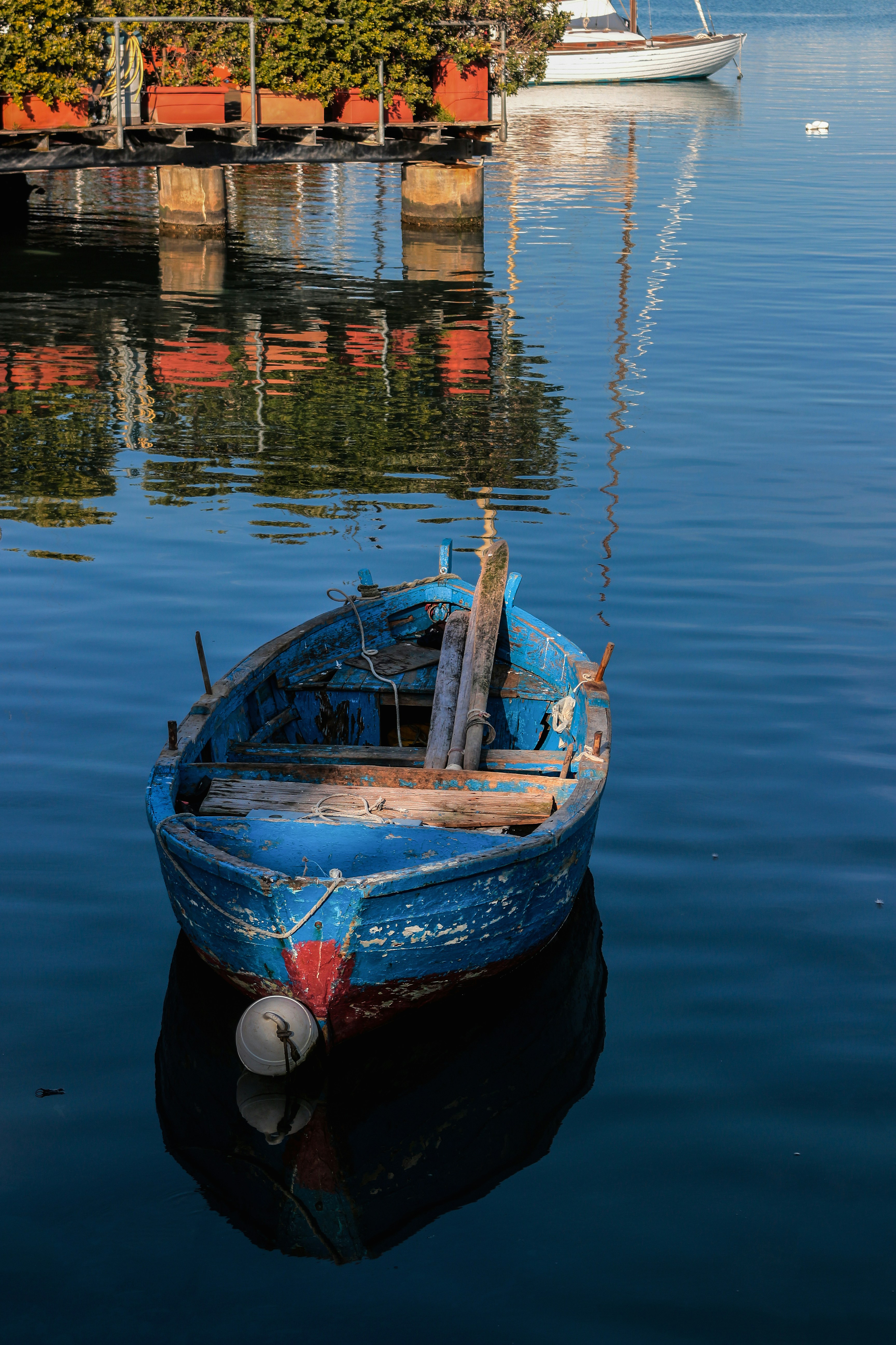 Photo by miloslopusina