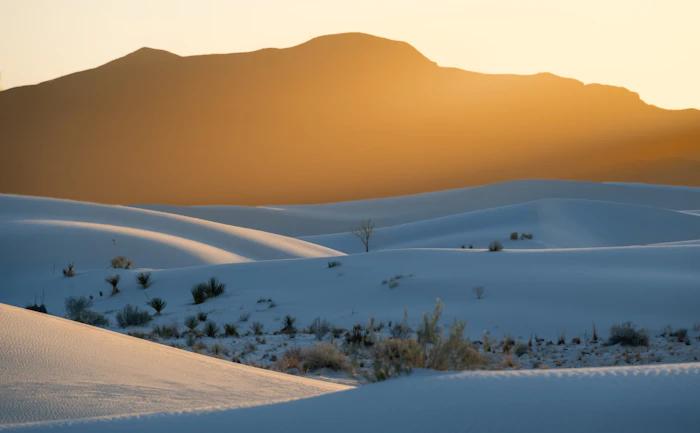 White Sands