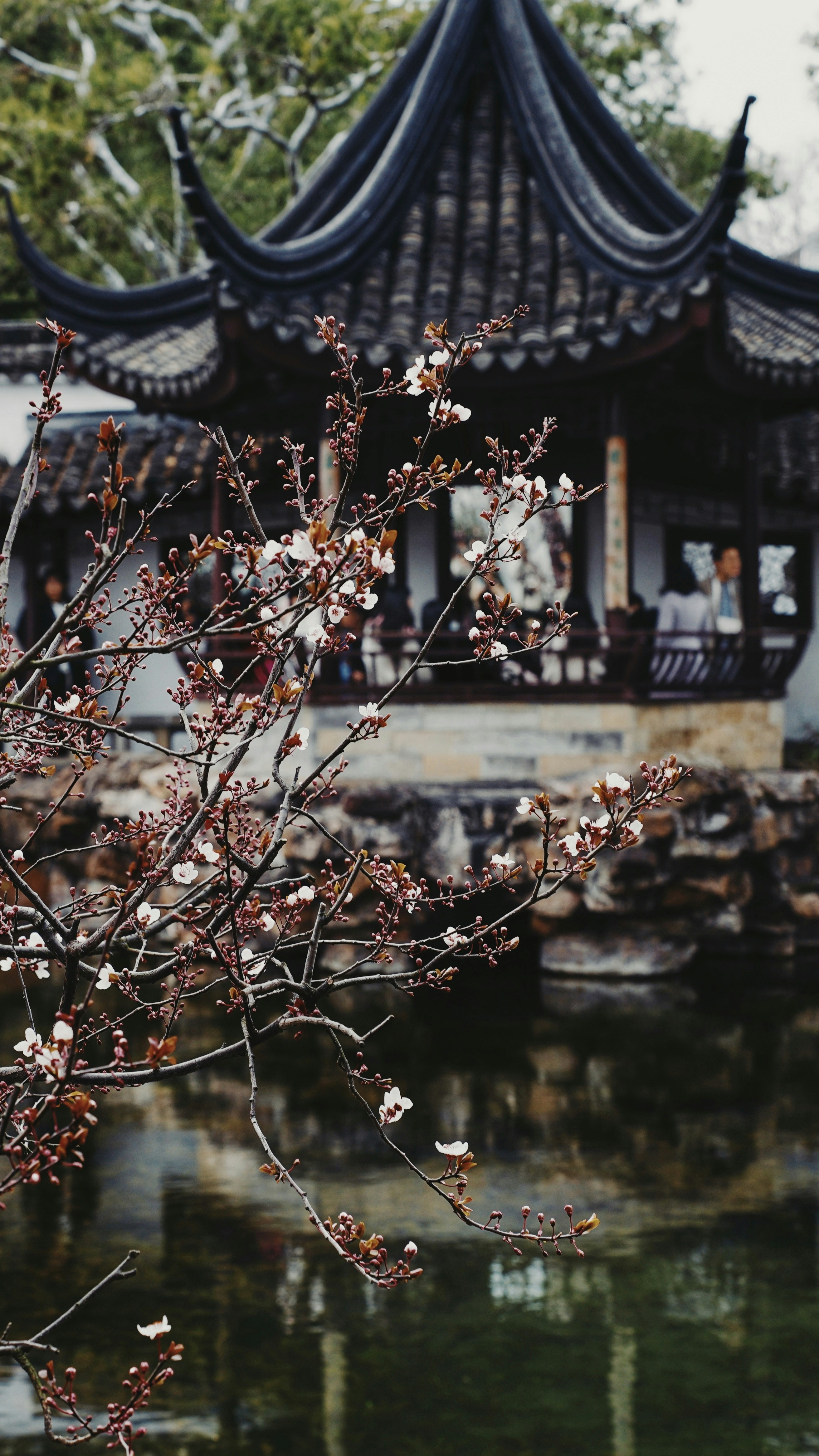 Photo by rebylulu