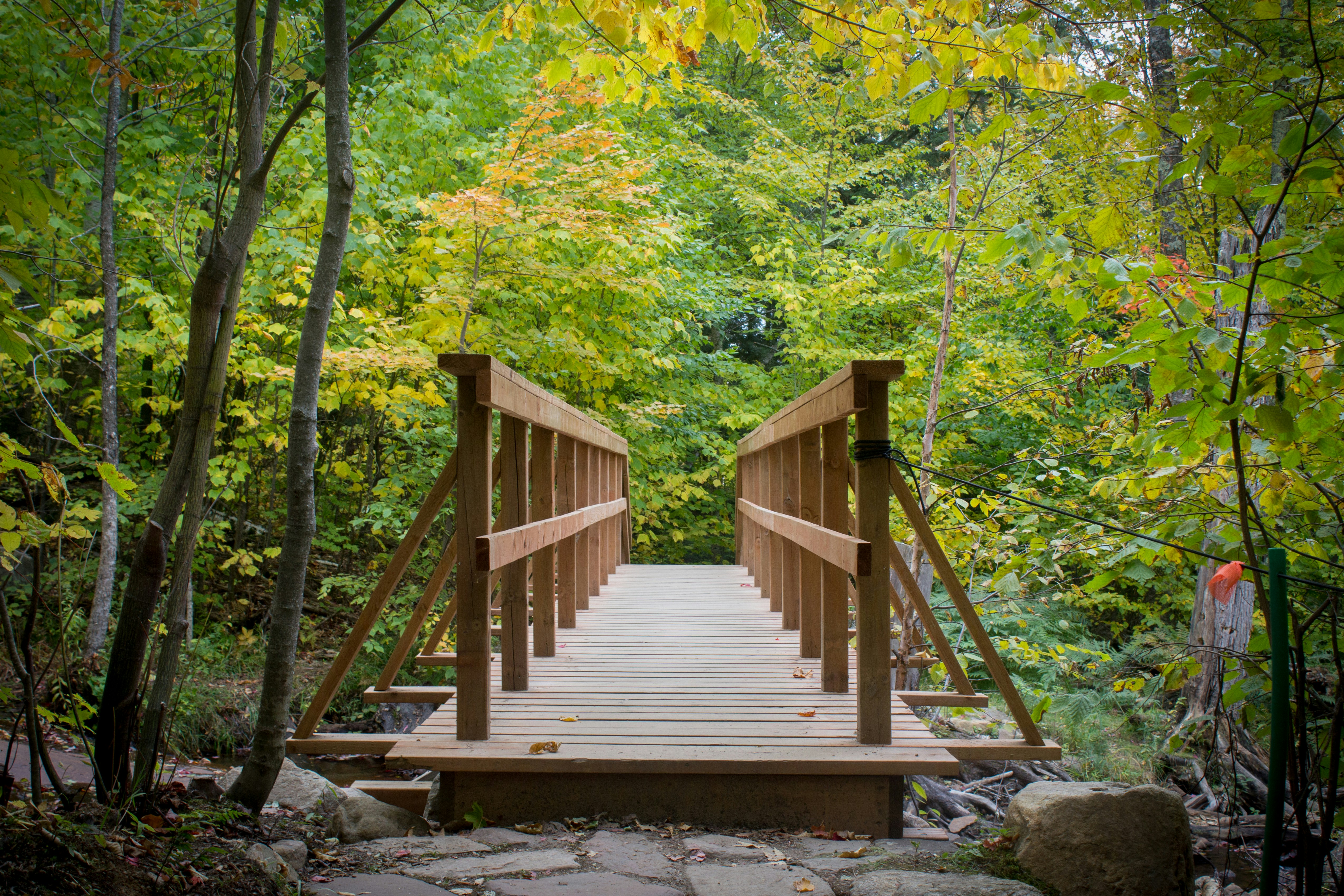 Photo by quangtran304