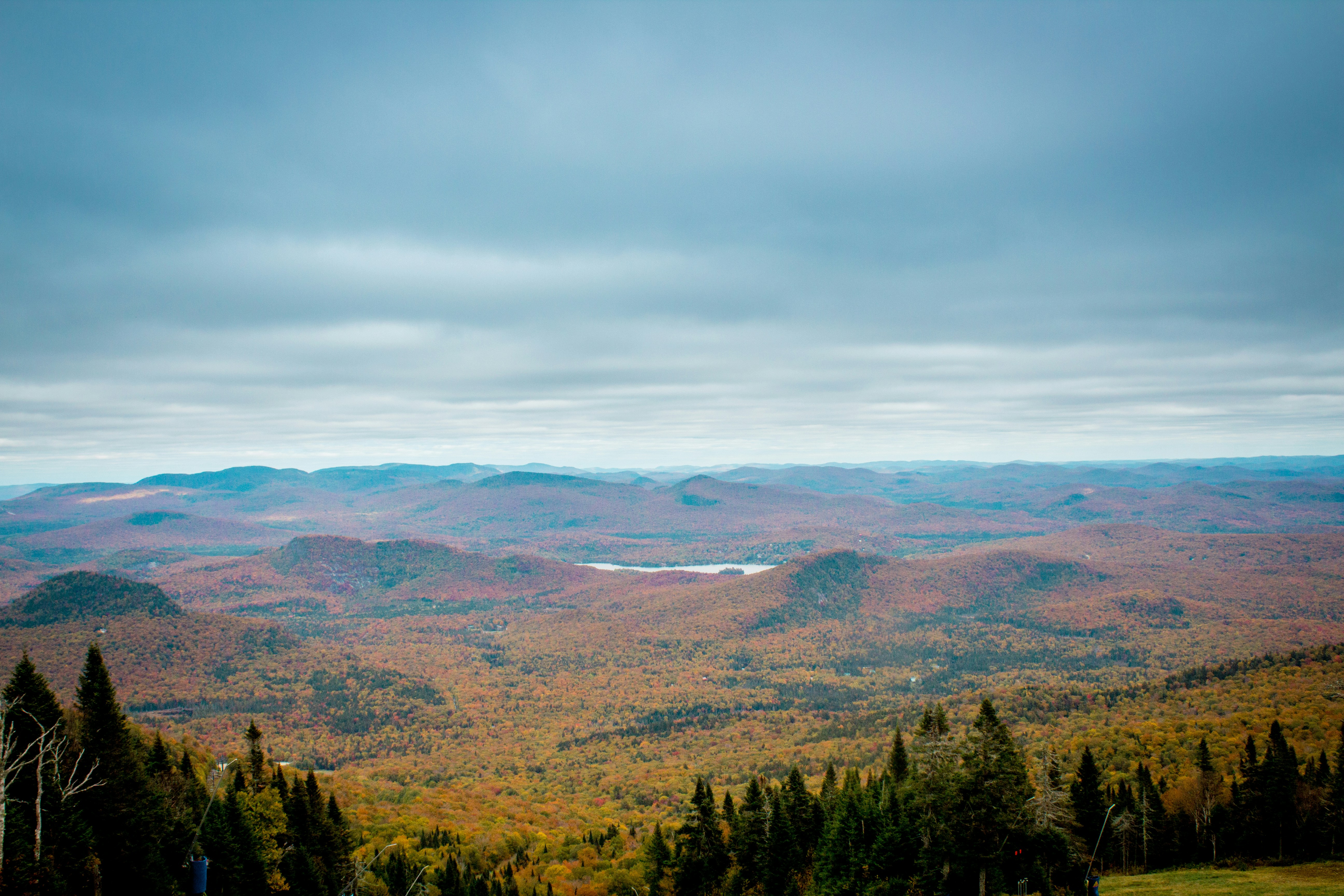 Photo by quangtran304