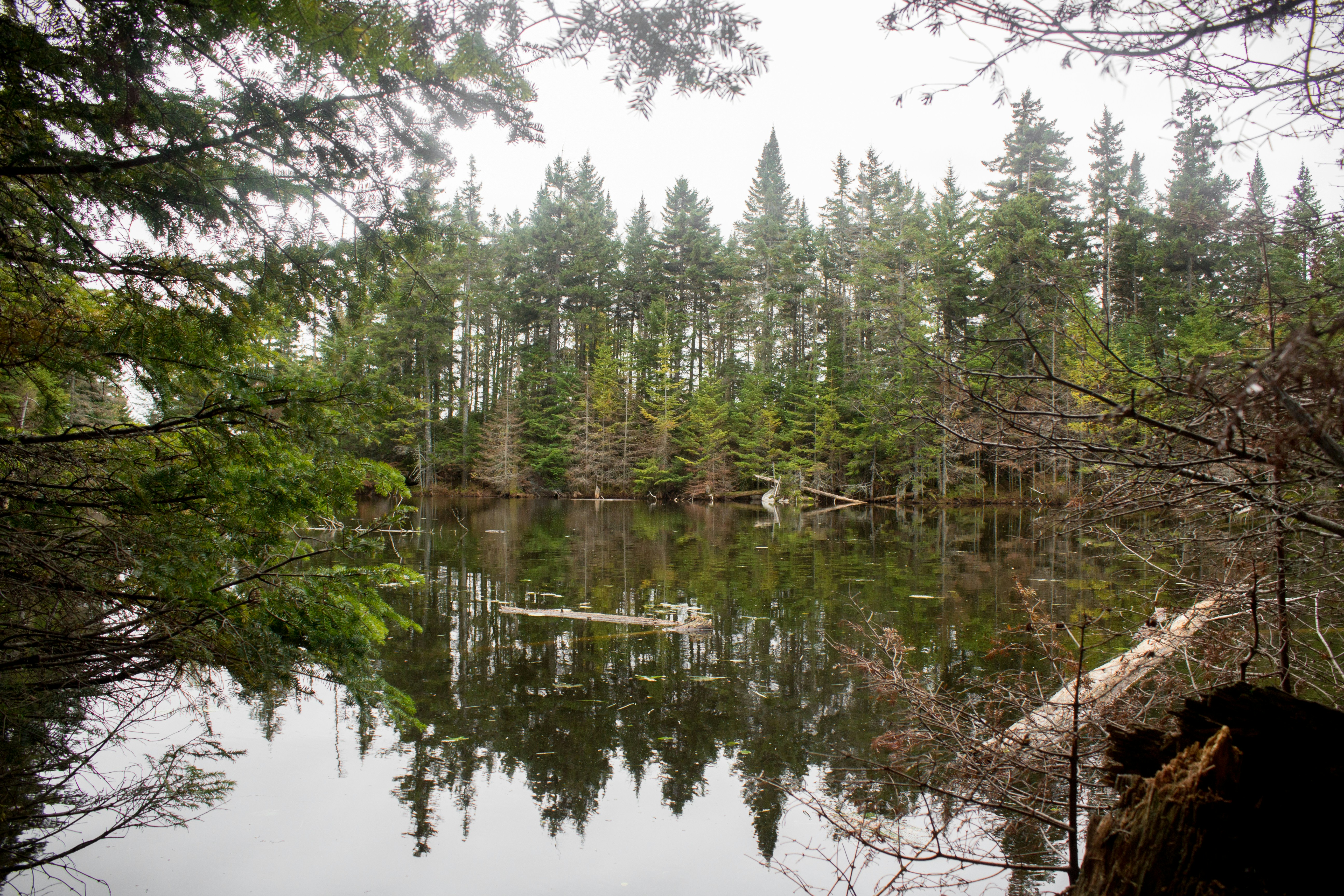 Photo by quangtran304