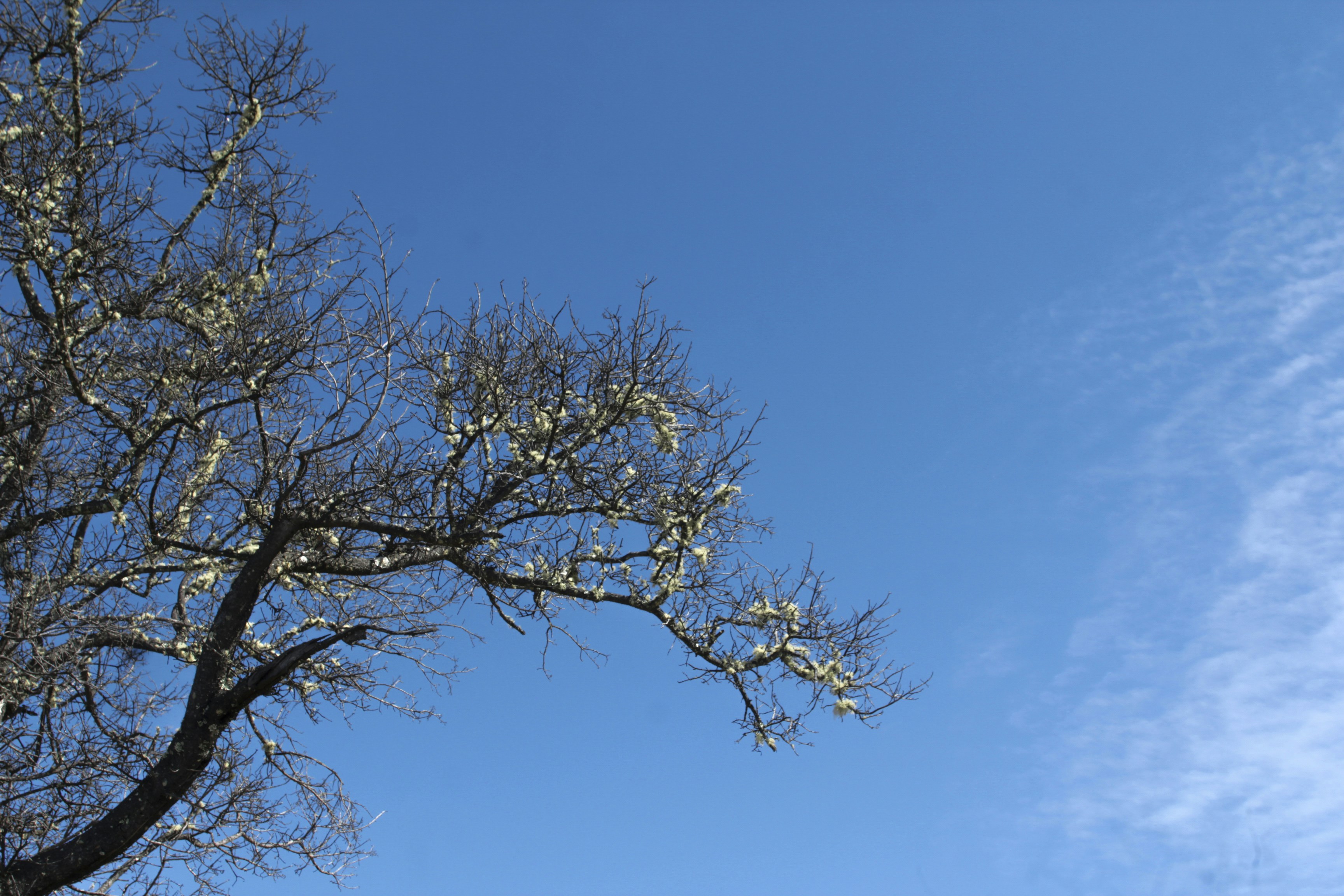 Photo by majulancar_projek