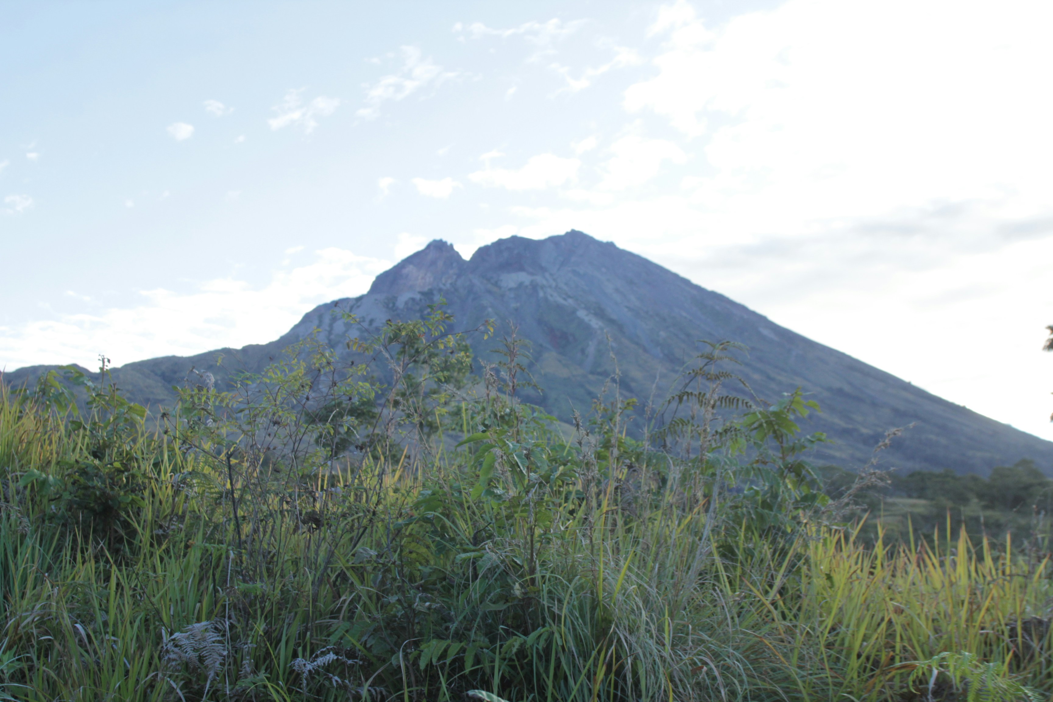 Photo by majulancar_projek