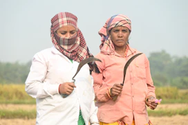 Farmers hold sickles in a field