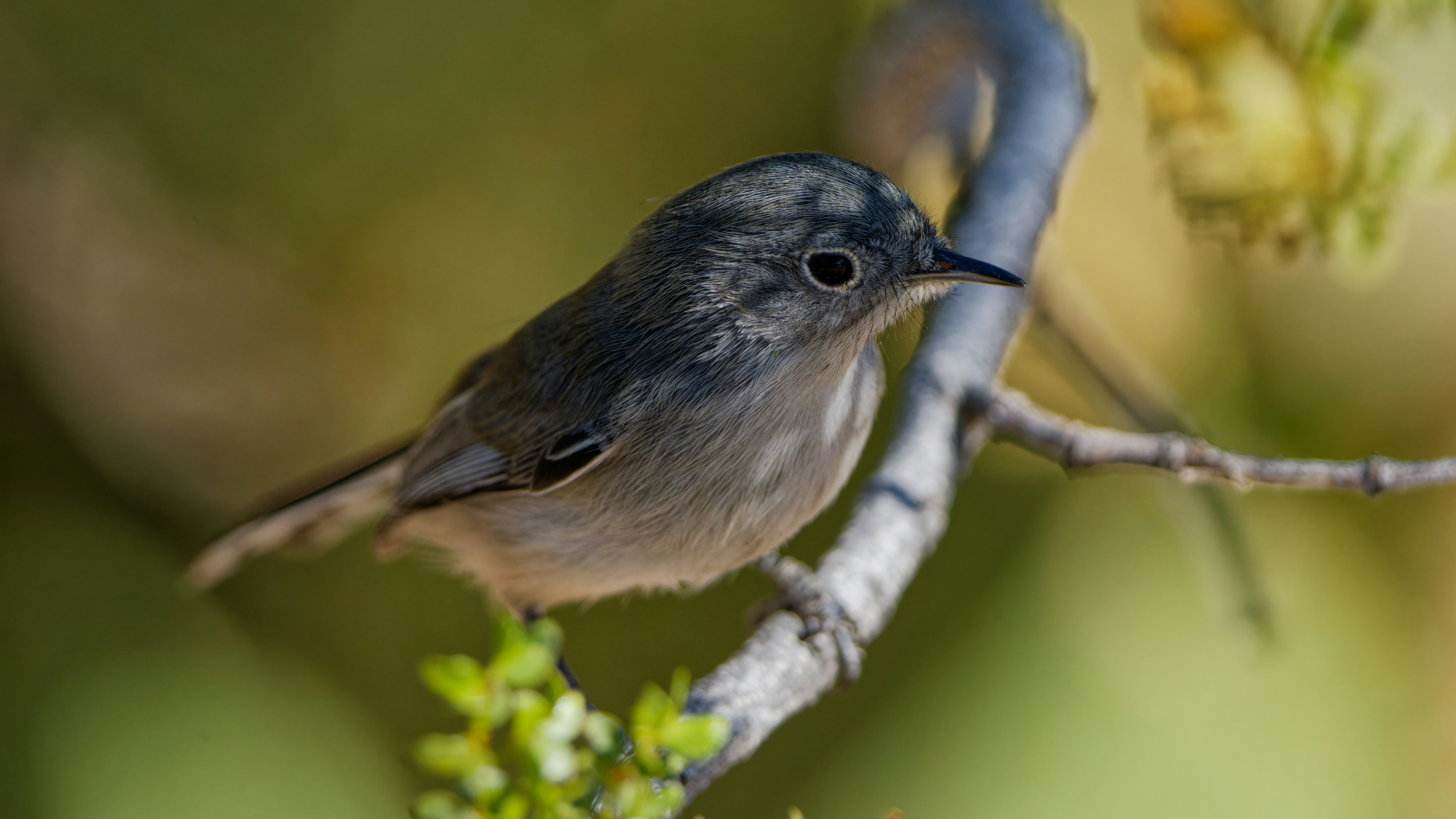 Photo by patrickbigelow_zoom_in