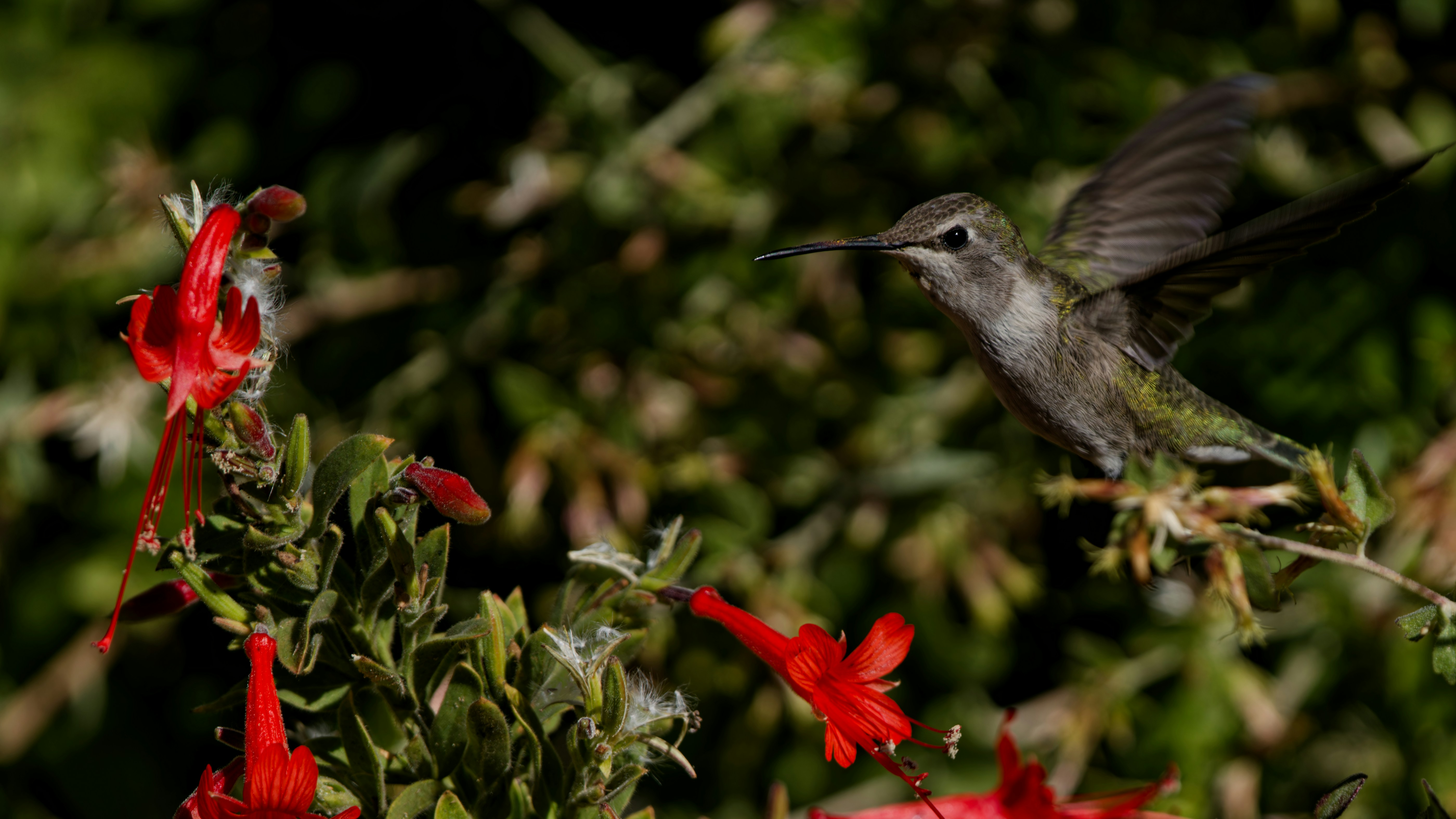 Photo by patrickbigelow_zoom_in