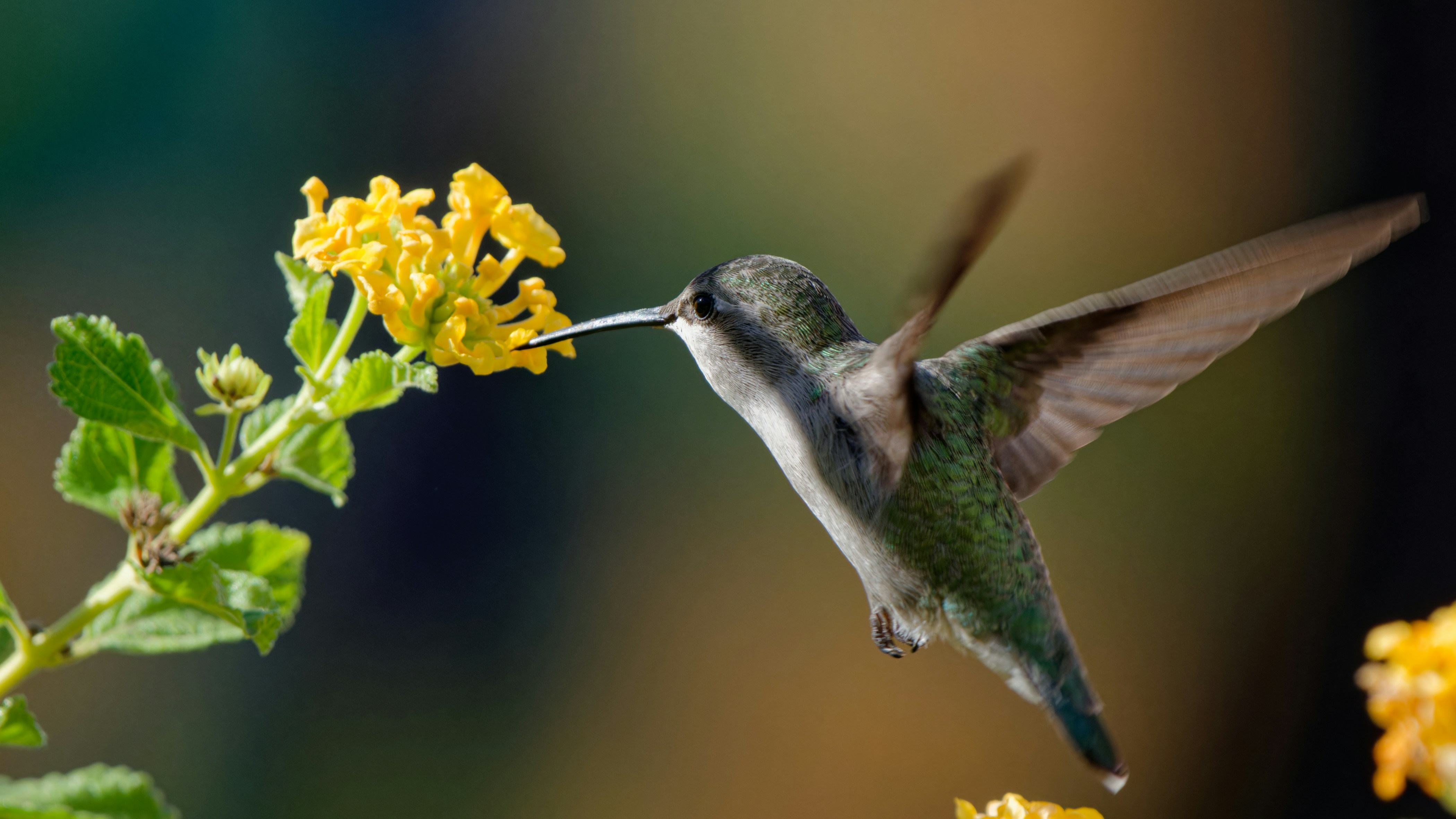 Photo by patrickbigelow_zoom_in