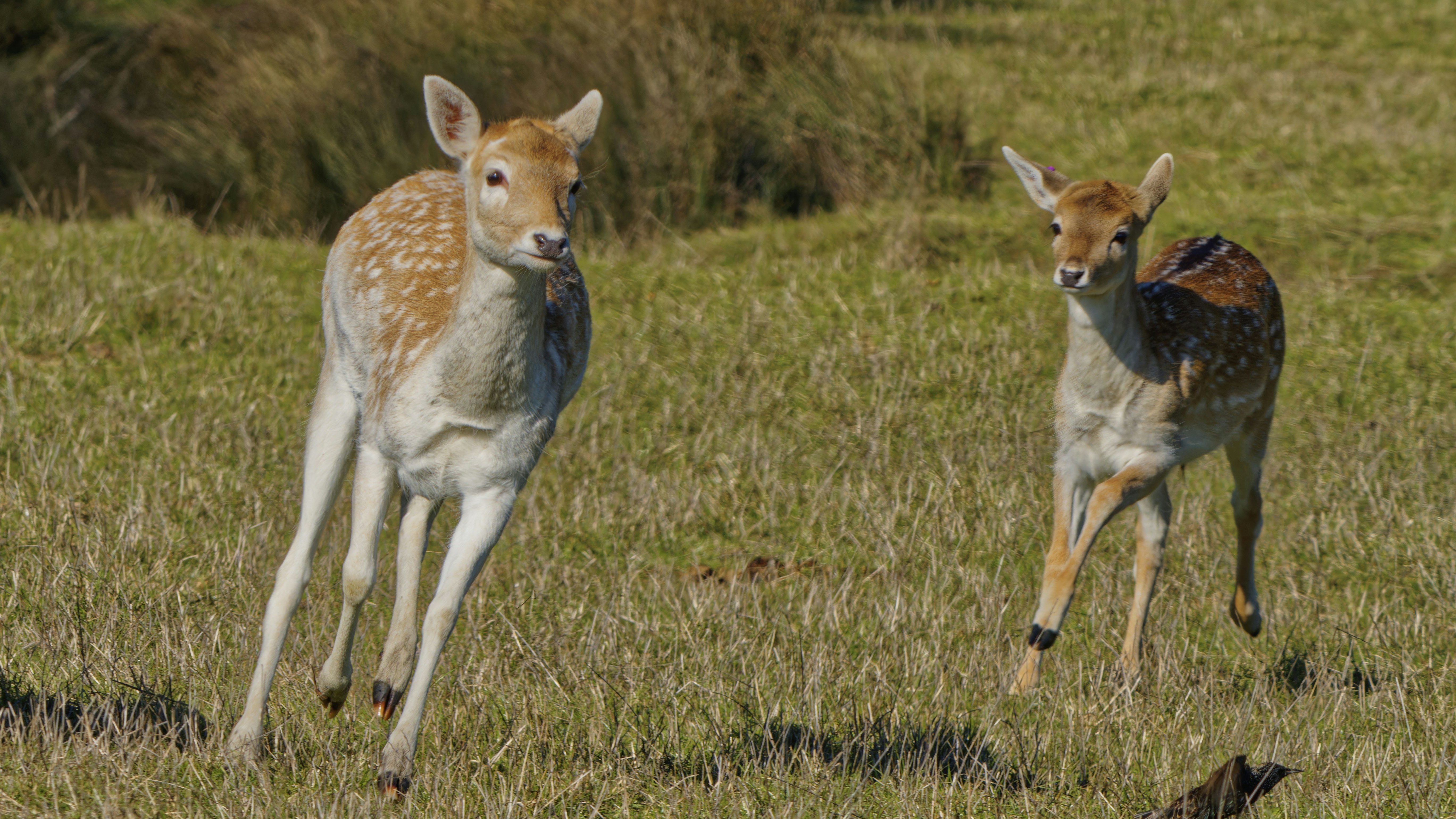 Photo by patrickbigelow_zoom_in