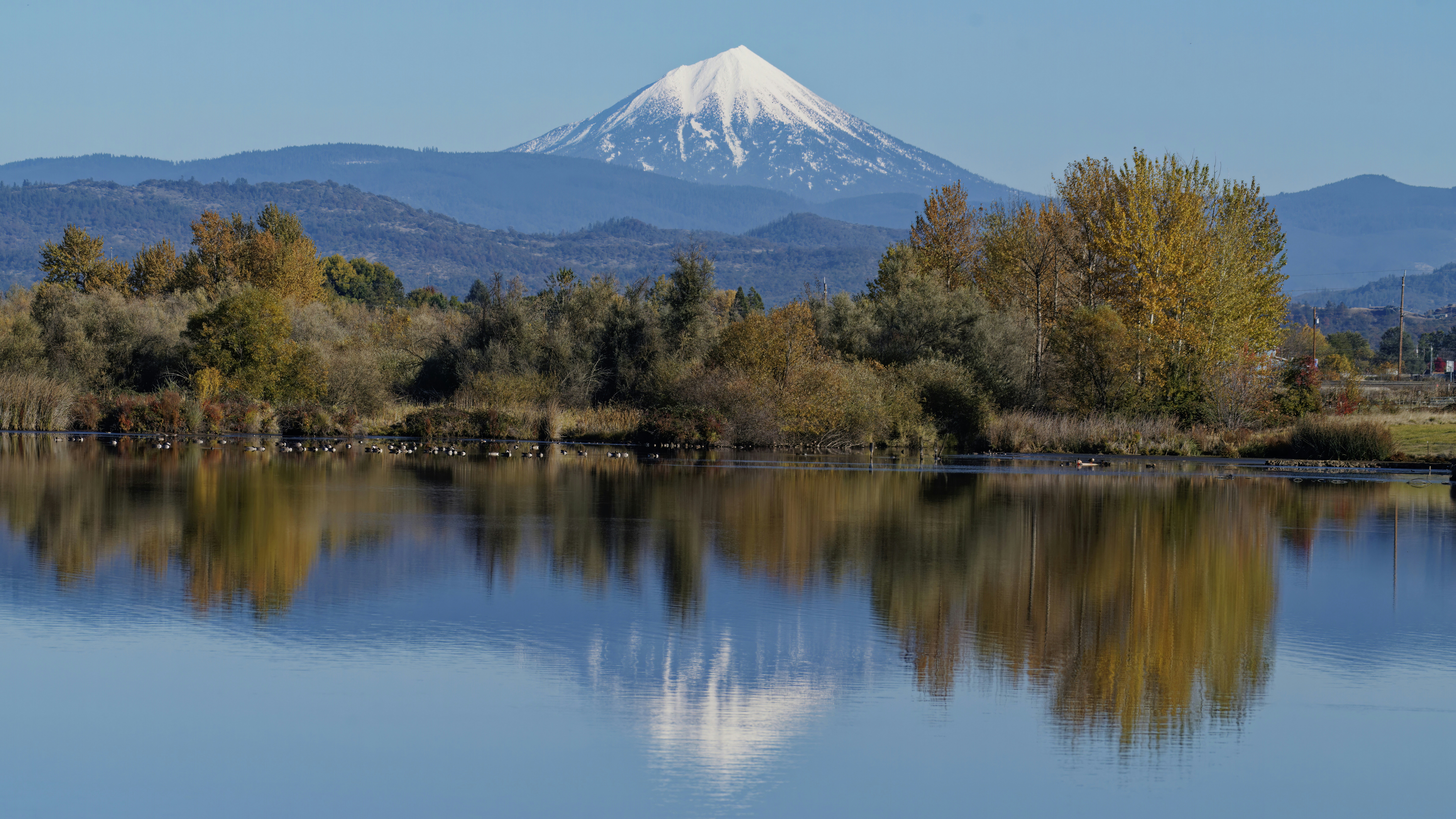 Photo by patrickbigelow_zoom_in