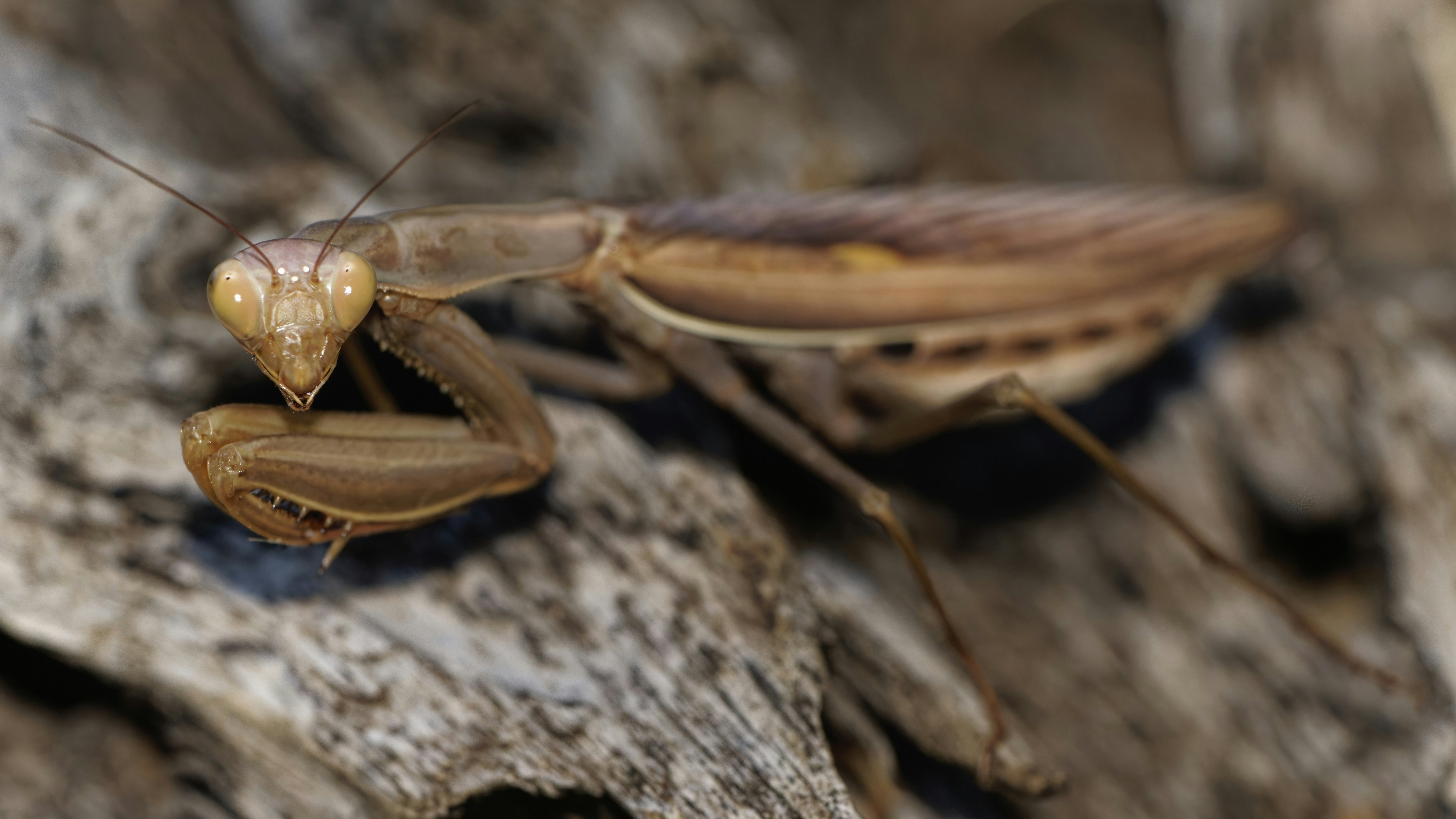 Photo by patrickbigelow_zoom_in