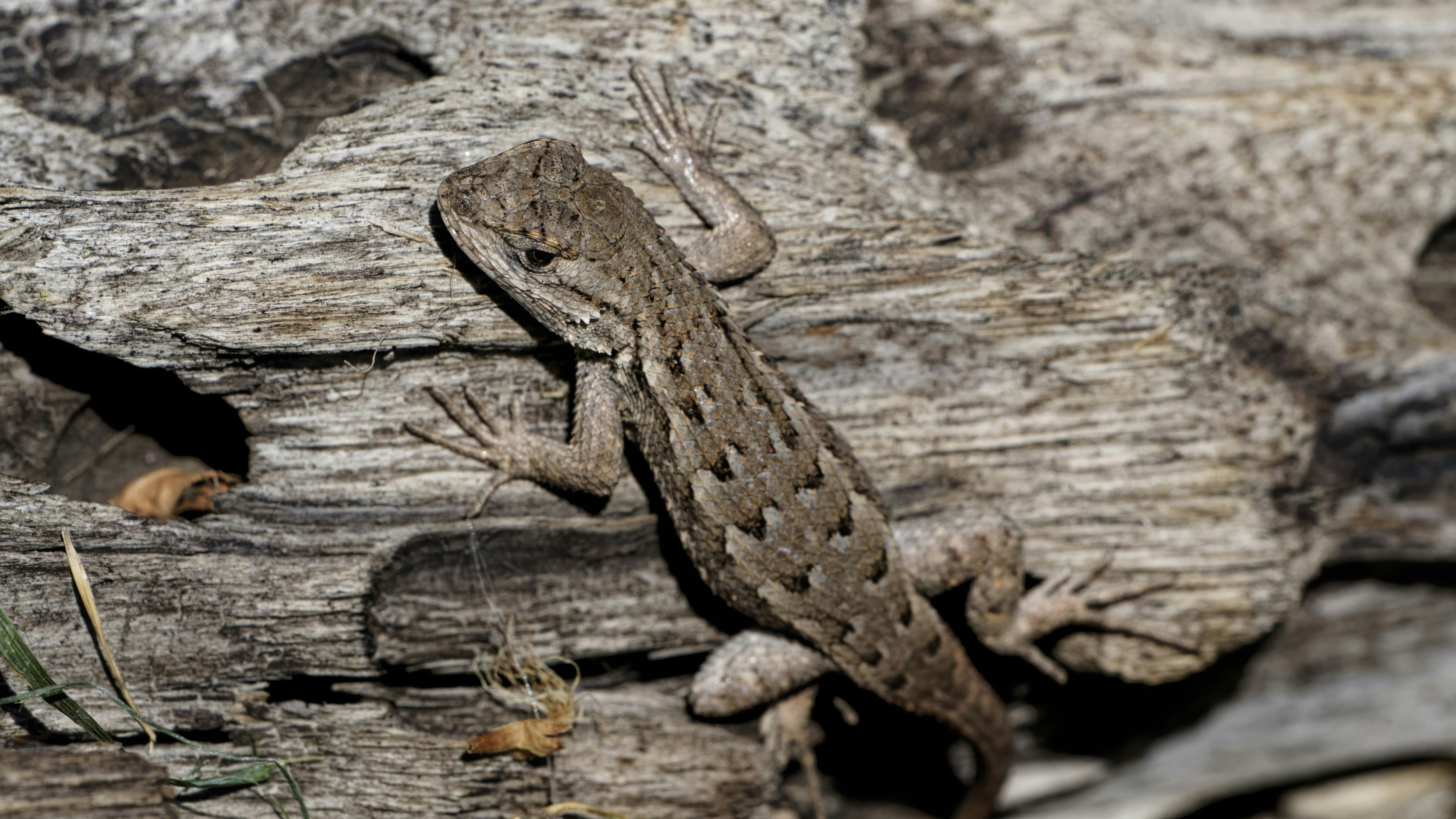 Photo by patrickbigelow_zoom_in