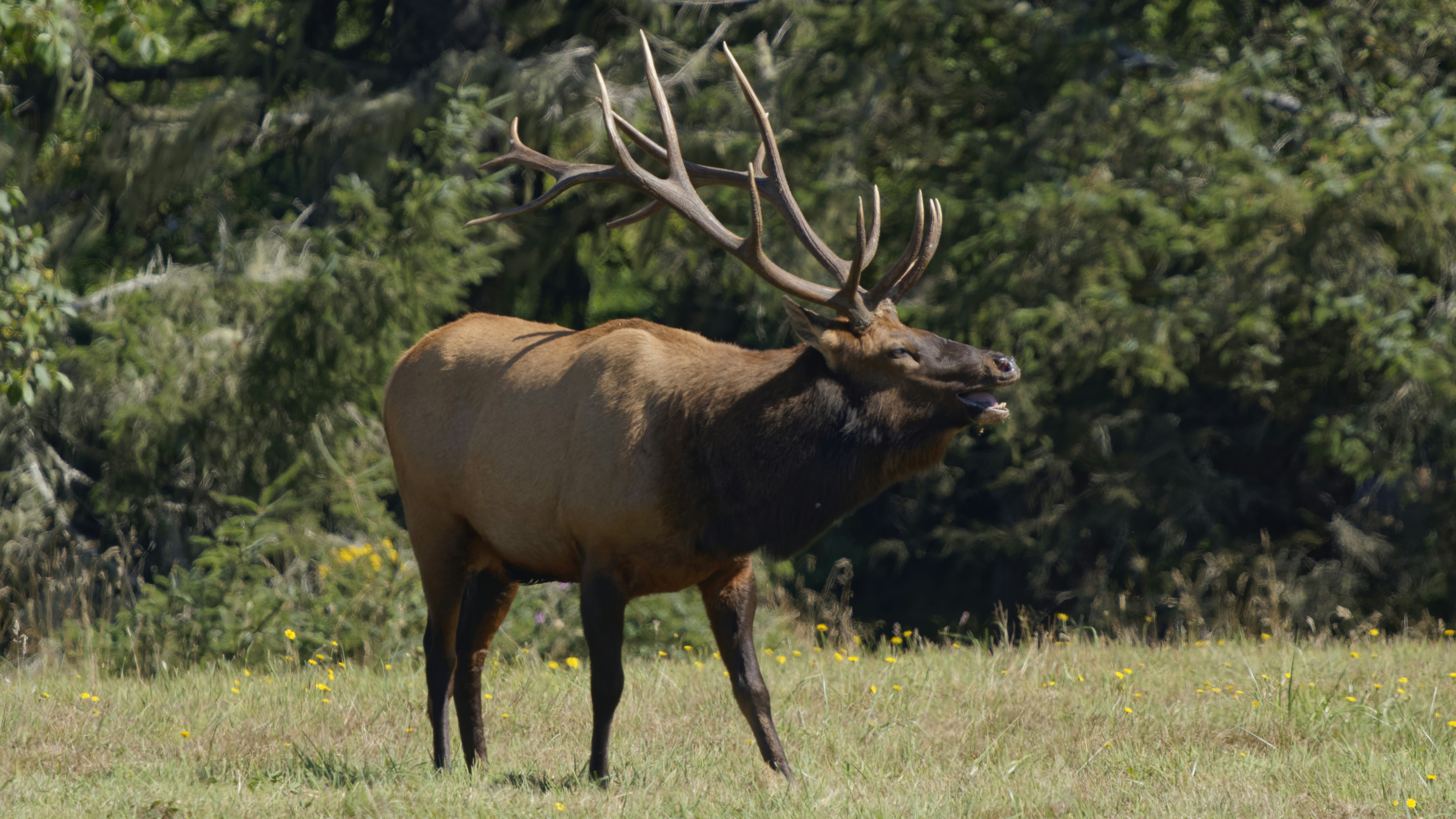 Photo by patrickbigelow_zoom_in