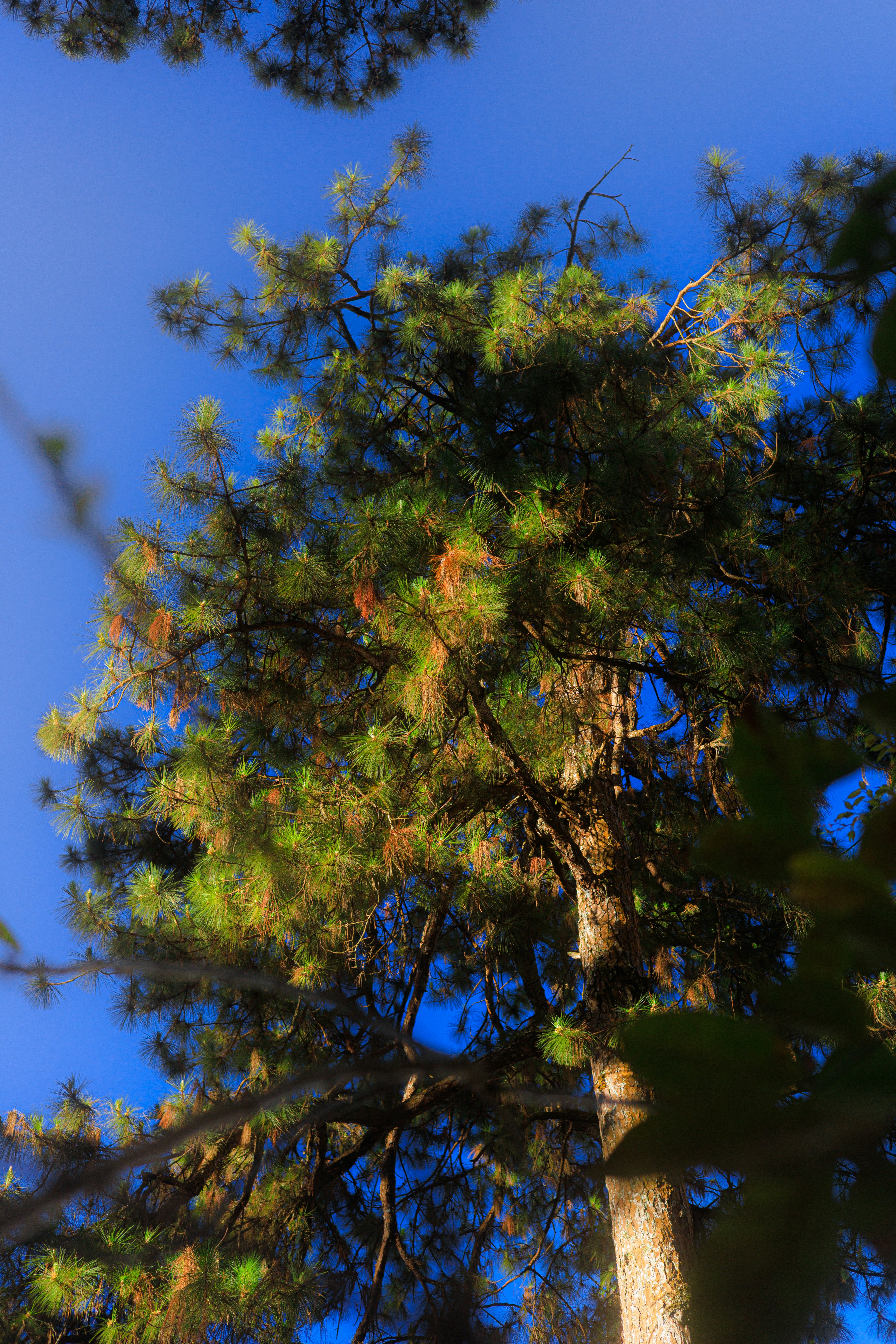 Photo by chuchu123456