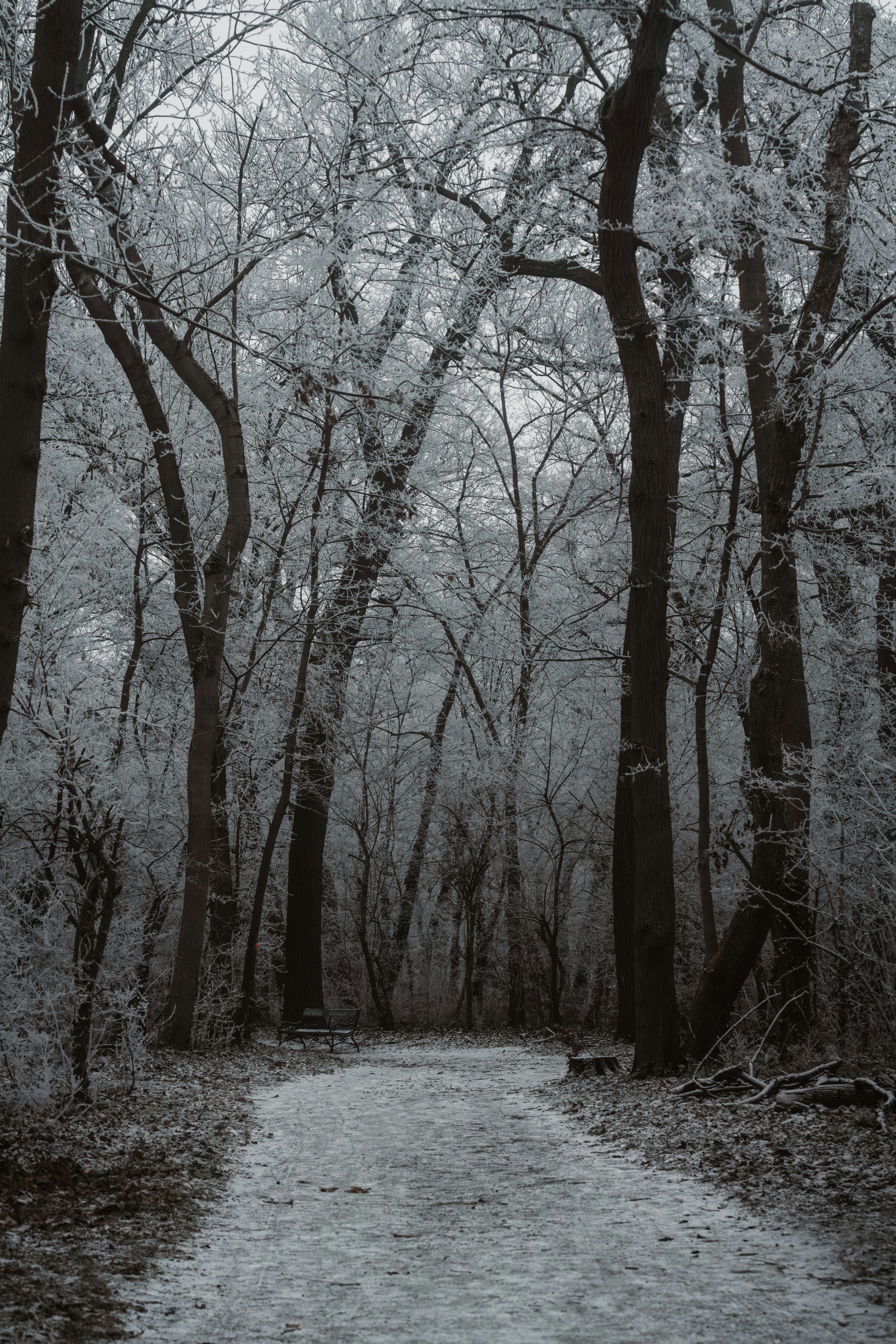 Photo by ahmetyuksek