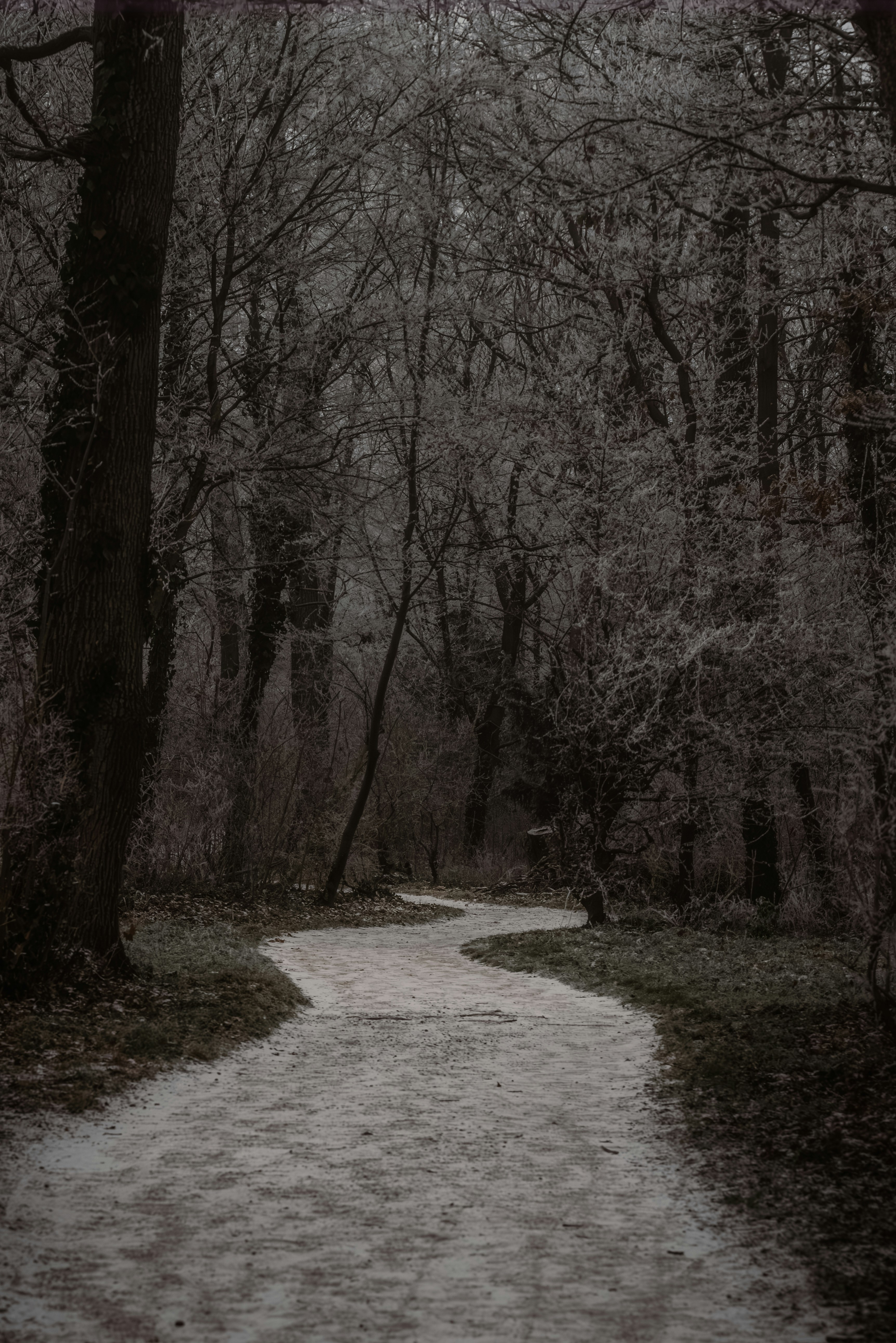 Photo by ahmetyuksek