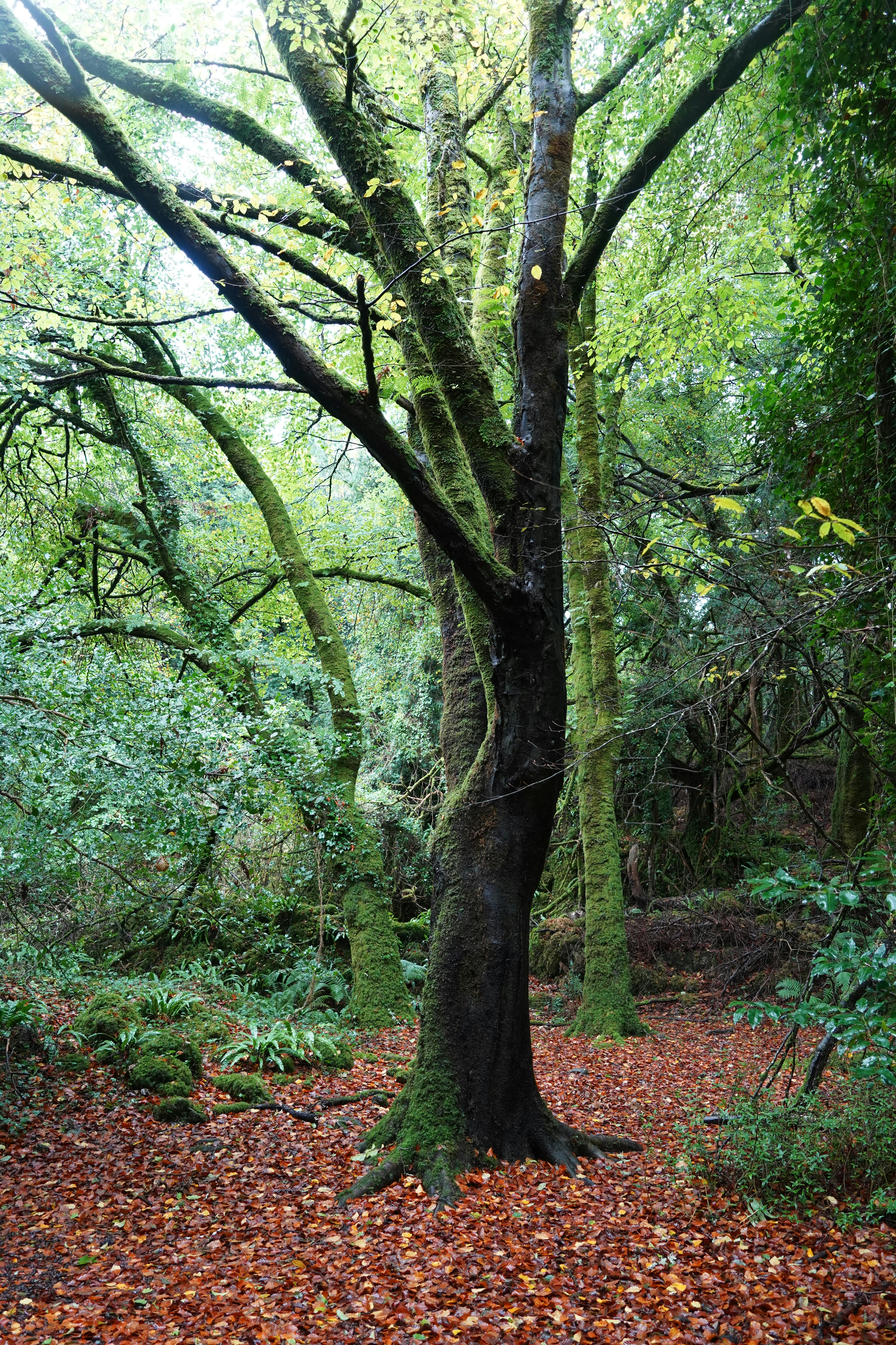 Photo by ellenkendall