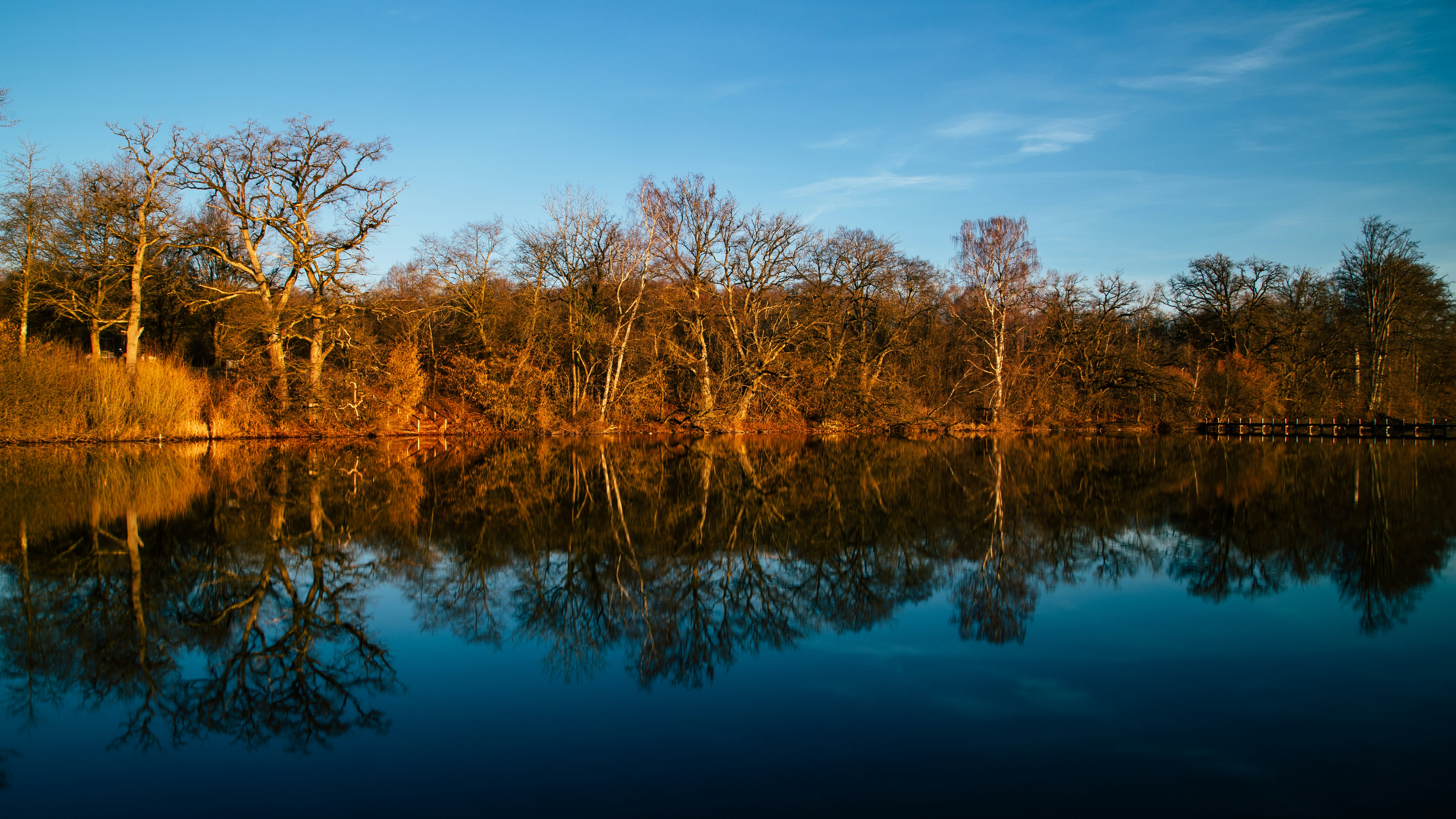 Photo by shutter_speed_